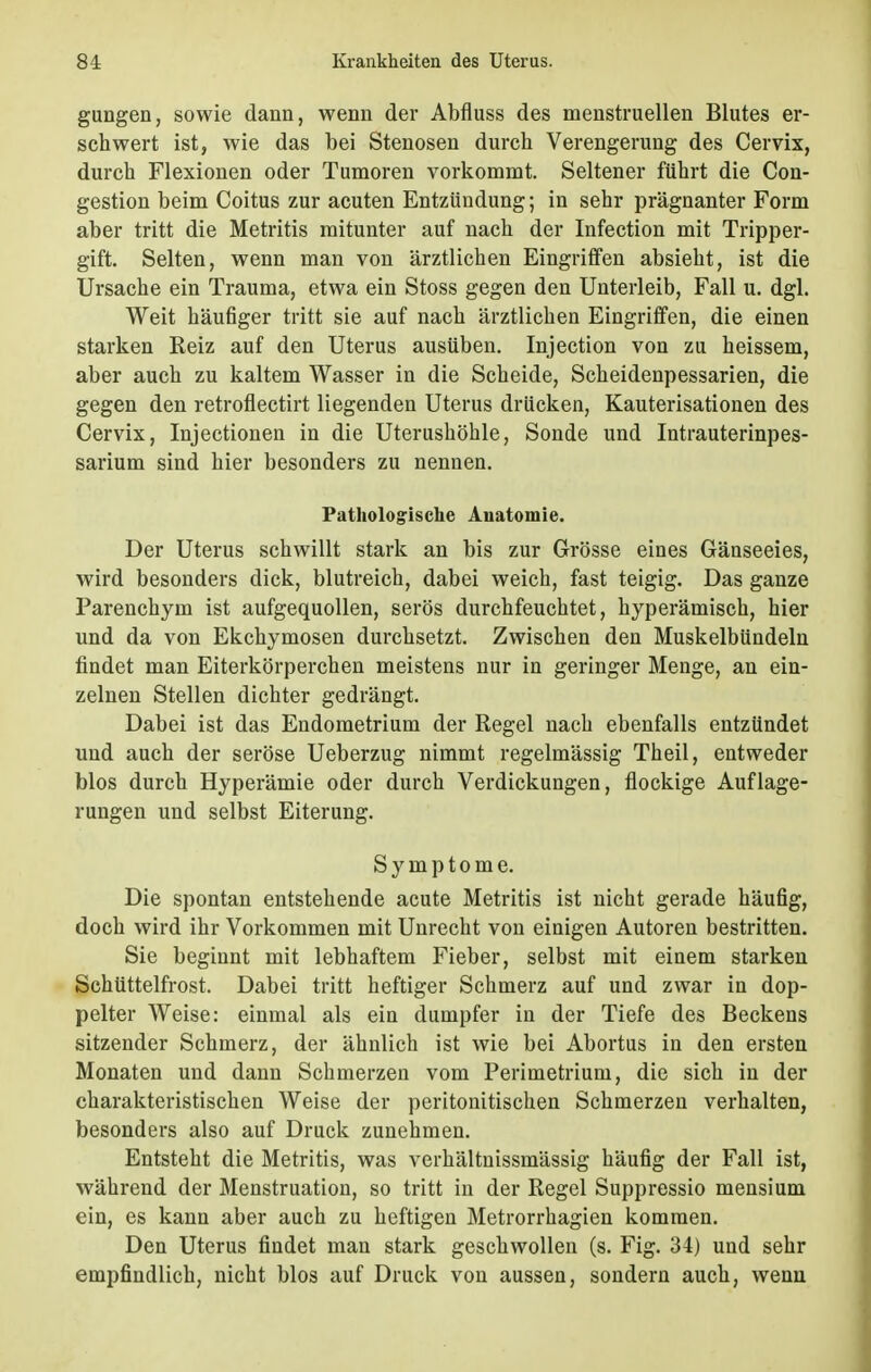 gungen, sowie dann, wenn der Abfluss des menstruellen Blutes er- schwert ist, wie das bei Stenosen durch Verengerung des Cervix, durch Flexionen oder Tumoren vorkommt. Seltener führt die Con- gestion beim Coitus zur acuten Entzündung; in sehr prägnanter Form aber tritt die Metritis mitunter auf nach der Infection mit Tripper- gift. Selten, wenn man von ärztlichen Eingriffen absieht, ist die Ursache ein Trauma, etwa ein Stoss gegen den Unterleib, Fall u. dgl. Weit häufiger tritt sie auf nach ärztlichen Eingriffen, die einen starken Reiz auf den Uterus ausüben. Injection von zu heissem, aber auch zu kaltem Wasser in die Scheide, Scheidenpessarien, die gegen den retroflectirt liegenden Uterus drücken, Kauterisationen des Cervix, Injectionen in die Uterushöhle, Sonde und Intrauterinpes- sarium sind hier besonders zu nennen. Pathologische Anatomie. Der Uterus schwillt stark an bis zur Grösse eines Gänseeies, wird besonders dick, blutreich, dabei weich, fast teigig. Das ganze Parenchym ist aufgequollen, serös durchfeuchtet, hyperämisch, hier und da von Ekchymosen durchsetzt. Zwischen den Muskelbündeln findet man Eiterkörperchen meistens nur in geringer Menge, an ein- zelnen Stellen dichter gedrängt. Dabei ist das Endometrium der Regel nach ebenfalls entzündet und auch der seröse Ueberzug nimmt regelmässig Theil, entweder blos durch Hyperämie oder durch Verdickungen, flockige Auflage- rungen und selbst Eiterung. Symptome. Die spontan entstehende acute Metritis ist nicht gerade häufig, doch wird ihr Vorkommen mit Unrecht von einigen Autoren bestritten. Sie beginnt mit lebhaftem Fieber, selbst mit einem starken Schüttelfrost. Dabei tritt heftiger Schmerz auf und zwar in dop- pelter Weise: einmal als ein dumpfer in der Tiefe des Beckens sitzender Schmerz, der ähnlich ist wie bei Abortus in den ersten Monaten und dann Schmerzen vom Perimetrium, die sich in der charakteristischen Weise der peritonitischen Schmerzen verhalten, besonders also auf Druck zunehmen. Entsteht die Metritis, was verhältnissmässig häufig der Fall ist, während der Menstruation, so tritt in der Regel Suppressio mensium ein, es kann aber auch zu heftigen Metrorrhagien kommen. Den Uterus findet man stark geschwollen (s. Fig. 34) und sehr empfindlich, nicht blos auf Druck von aussen, sondern auch, wenn