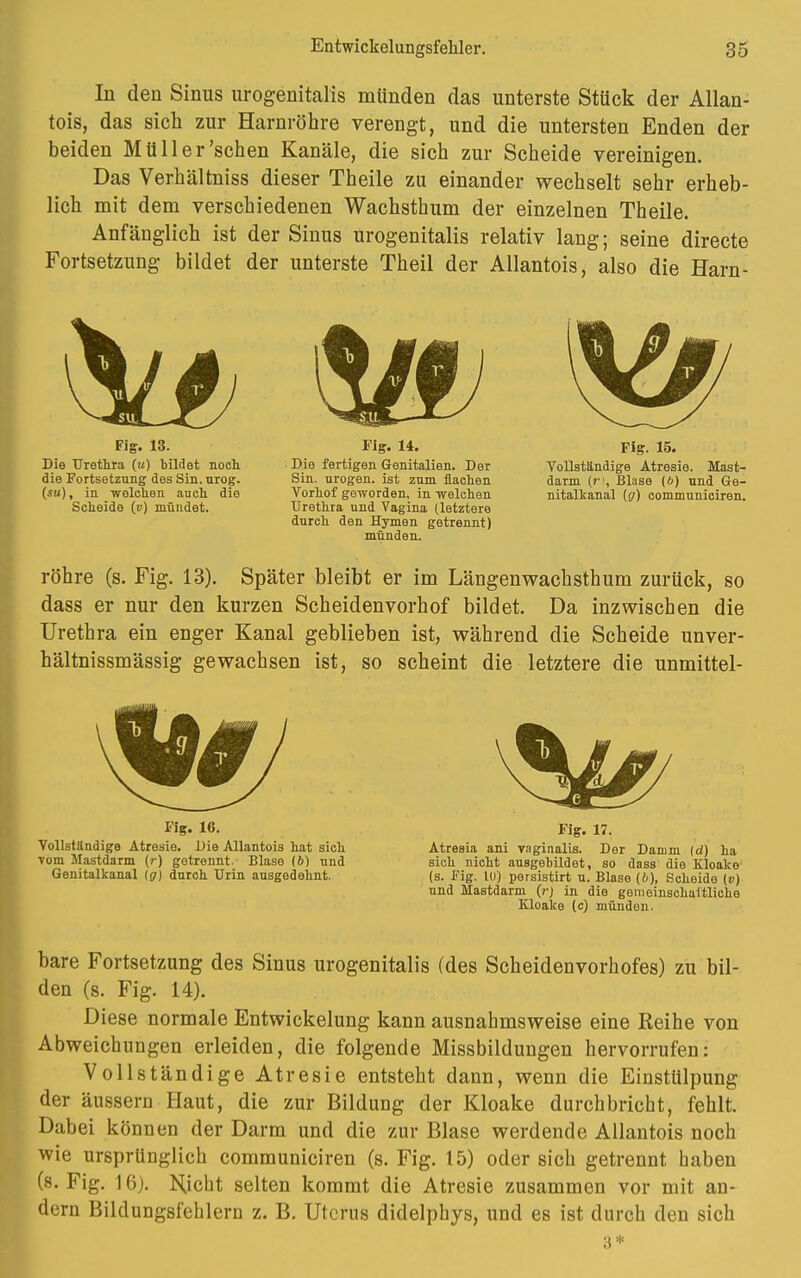 In den Sinus urogenitalis münden das unterste Stück der Allan- tois, das sich zur Harnröhre verengt, und die untersten Enden der beiden Müll er'sehen Kanäle, die sich zur Scheide vereinigen. Das Verhältniss dieser Theile zu einander wechselt sehr erheb- lich mit dem verschiedenen Wachsthum der einzelnen Theile. Anfänglich ist der Sinus urogenitalis relativ lang; seine directe Fortsetzung bildet der unterste Theil der Allantois, also die Harn- Fig. 13. Die Urethra («) bildet noch die Fortsetzung des Sin. urog. (su), in welchen auch die Scheide (v) mündet. Fig. 14. Die fertigen Genitalien. Der Sin. nrogen. ist zum flachen Vorhof geworden, in welchen Urethra und Vagina (letztere durch den Hymen getrennt) münden. Fig. 15. VoUständige Atresie. Mast- darm (ri. Blase (6) und Ge- nitalkanal (g) communiciren. röhre (s. Fig. 13). Später bleibt er im Längenwachsthum zurück, so dass er nur den kurzen Scheidenvorhof bildet. Da inzwischen die Urethra ein enger Kanal geblieben ist, während die Scheide unver- hältnissmässig gewachsen ist, so scheint die letztere die unmittel- Fig. 16. Vollständige Atresie. Die Allantois hat sich vom Mastdarm (r) getrennt. Blase (6) und Genitalkanal ig) durch Urin ausgedehnt. Fig. 17. Atresia ani vaginalis. Der Damm (d) ha sich nicht ausgebildet, so dass die Kloake (s. Fig. 10) persistirt u. Blase (b), Scheide (v) und Mastdarm (r) in die gemeinschaftliche Kloake (c) münden. bare Fortsetzung des Sinus urogenitalis (des Scheidenvorhofes) zu bil- den (s. Fig. 14). Diese normale Entwickelung kann ausnahmsweise eine Reihe von Abweichungen erleiden, die folgende Missbildungen hervorrufen: Vollständige Atresie entsteht dann, wenn die Einstülpung der äussern Haut, die zur Bildung der Kloake durchbricht, fehlt. Dabei können der Darm und die zur Blase werdende Allantois noch wie ursprünglich communiciren (s. Fig. 15) oder sich getrennt haben (s. Fig. 16j. Hiebt selten kommt die Atresie zusammen vor mit an- dern Bildungsfehlern z. B. Uterus didelphys, und es ist durch den sich 3*