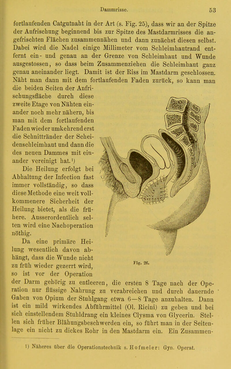 fortlaufenden Catgutnaht in der Art (s. Fig. 25), dass wir an der Spitze der Anfrischung beginnend bis zur Spitze des Mastdarmrisses die an- gefrischten Flächen zusammennähen und dann zunächst diesen selbst. Dabei wird die Nadel einige Millimeter vom Schleimhautrand ent- fernt ein- und genau an der Grenze von Schleimhaut und Wunde ausgestossen, so dass beim Zusammenziehen die Schleimhaut ganz genau aneinander liegt. Damit ist der Riss im Mastdarm geschlossen. Näht man dann mit dem fortlaufenden Faden zurück, so kann man die beiden Seiten der Anfri- schungsfläche durch diese zweite Etage von Nähten ein- ander noch mehr nähern, bis man mit dem fortlaufenden Faden wieder umkehrend erst die Schnittränder der Schei- denschleimhaut und dann die des neuen Dammes mit ein- ander vereinigt hat.1) Die Heilung erfolgt bei Abhaltung der Infection fast immer vollständig, so dass diese Methode eine weit voll- kommenere Sicherheit der Heilung bietet, als die frü- here. Ausserordentlich sel- ten wird eine Nachoperation nöthig. Da eine primäre Hei- lung wesentlich davon ab- hängt, dass die Wunde nicht zu früh wieder gezerrt wird, so ist vor der Operation der Darm gehörig zu entleeren, die ersten 8 Tage nach der Ope- ration nur flüssige Nahrung zu verabreichen und durch dauernde Gaben von Opium der Stuhlgang etwa 6—8 Tage anzuhalten. Dann ist ein mild wirkendes Abführmittel (Ol. Ricini) zu geben und bei sich einstellendem Stuhldrang ein kleines Clysma von Glycerin. Stel- len sich früher Blähungsbeschwerden ein, so führt man in der Seiten- lage ein nicht zu dickes Rohr in den Mastdarm ein. Ein Zusammen- Fig. 26. 1) Näheres über die Operationstechnik s. Hofmeier: Gyn. Operat.