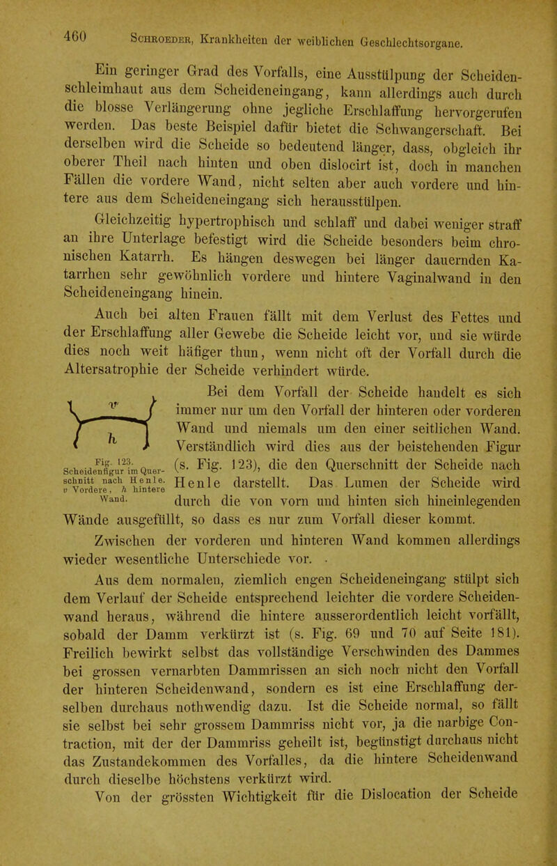 Ein geringer Grad des Vorfalls, eine Ausstülpung der Scheiden- schleimhaut aus dem Scheideneingang, kann allerdings auch durch die blosse Verlängerung ohne jegliche Erschlaffung hervorgerufen werden. Das beste Beispiel dafür bietet die Schwangerschaft. Bei derselben wird die Scheide so bedeutend länger, dass, obgleich ihr oberer Theil nach hinten und oben dislocirt ist, doch in manchen Fällen die vordere Wand, nicht selten aber auch vordere und hin- tere aus dem Scheideneingang sich herausstülpen. Gleichzeitig hypertrophisch und schlaff und dabei weniger straff an ihre Unterlage befestigt wird die Scheide besonders beim chro- nischen Katarrh. Es hängen deswegen bei länger dauernden Ka- tarrhen sehr gewöhnlich vordere und hintere Vaginalwand in den Scheideneingang hinein. Auch bei alten Frauen fällt mit dem Verlust des Fettes und der Erschlaffung aller Gewebe die Scheide leicht vor, und sie würde dies noch weit häfiger thun, wenn nicht oft der Vorfall durch die Altersatrophie der Scheide verhindert würde. Bei dem Vorfall der- Scheide handelt es sich f immer nur um den Vorfall der hinteren oder vorderen Wand und niemals um den einer seitlichen Wand. Verständlich wird dies aus der beistehenden Figur scheia/n^'gurimQuer- (»• ^Ig- 123), dic dcu Qucrschnitt der Scheide nach schnitt nach H e n i e. Hcnlc darstcUt. Das Lumen der Scheide wird V Vordere, h hintere Wand. durch die von vorn und hinten sich hineinlegenden Wände ausgefüllt, so dass es nur zum Vorfall dieser kommt. Zwischen der vorderen und hinteren Wand kommen allerdings wieder wesentliche Unterschiede vor. . Aus dem normalen, ziemlich engen Scheideneingang stülpt sich dem Verlauf der Scheide entsprechend leichter die vordere Scheiden- wand heraus, während die hintere ausserordentlich leicht vorfällt, sobald der Damm verkürzt ist (s. Fig. 69 und 70 auf Seite 181). Freilich bewirkt selbst das vollständige Verschwmden des Dammes bei grossen vernarbten Dammrissen an sich noch nicht den Vorfall der hinteren Scheidenwand, sondern es ist eine Erschlaffung der- selben durchaus nothwendig dazu. Ist die Scheide normal, so fällt sie selbst bei sehr grossem Dammriss nicht vor, ja die narbige Con- traction, mit der der Dammriss geheilt ist, begünstigt durchaus nicht das Zustandekommen des Vorfalles, da die hintere Scheiden wand durch dieselbe höchstens verkürzt wird. Von der grössten Wichtigkeit für die Dislocation der Scheide