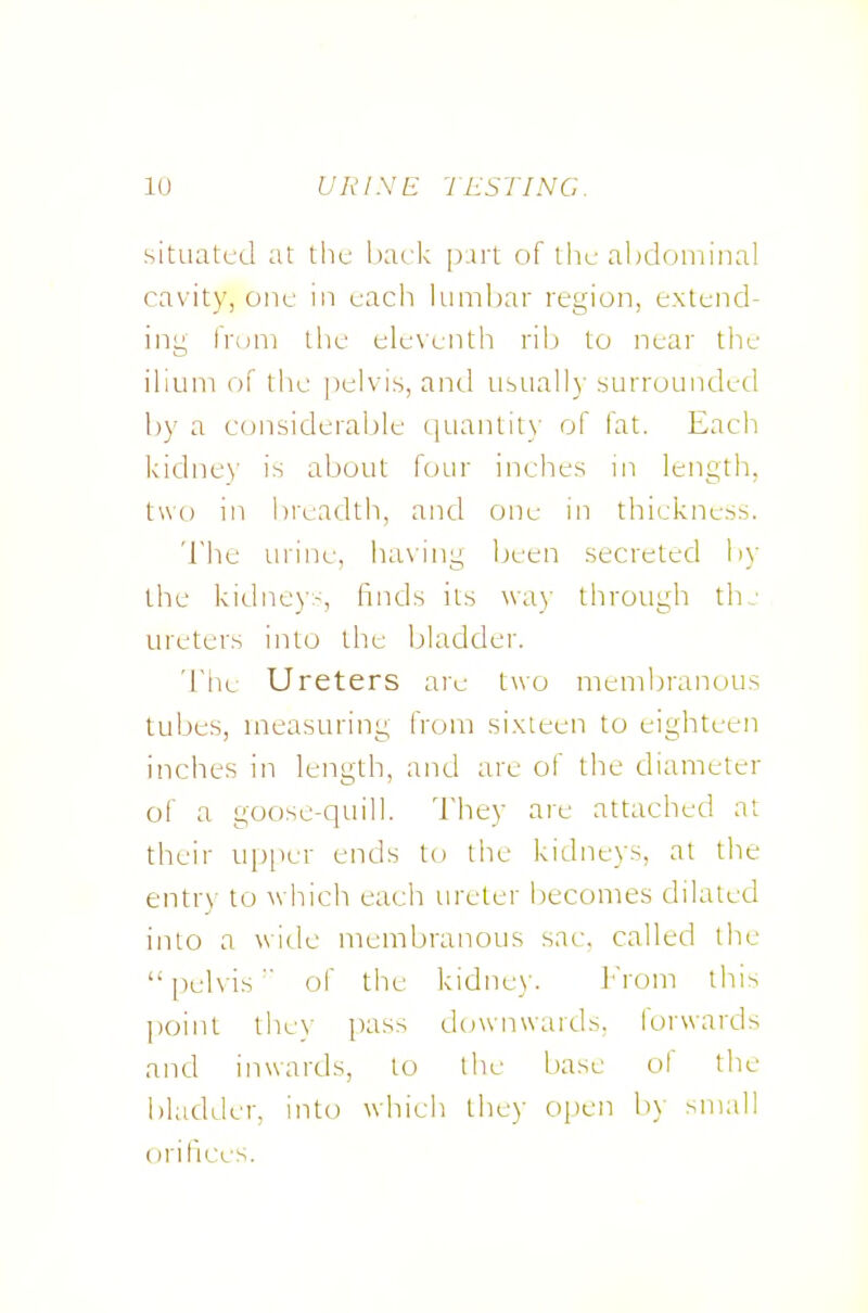 situatc-d at the back pwt of ihc ahdomiiial cavity, one in each lumbar region, extend- ing h'om the elevcntli rilj to near tlie ibum of the pelvis, and iirbiiall)- surrounded by a considerable qiiantits' of fat. Each kidne)' is about four inclies in length, two in i)readth, and one in thickness. 'lhe urine, luuing been secreted by the kidney-, finds its way through thj ureters into the bladder. TIk Ureters are two membranous tubes, measuring from sixteen to eighteen inches in length, and are of the diameter of a goose-quill. They are attached at their u[)[)er ends t(.> tlie kidneys, at the entrv to which each ureter l)ecomes dilated into a wide membranous sac. called the pelvis of the kidne)'. 1^'rom tliir. ])oint the\' pass downwards, forwards and inwards, to the base ol the bladder, into which they open b\- small orifices.