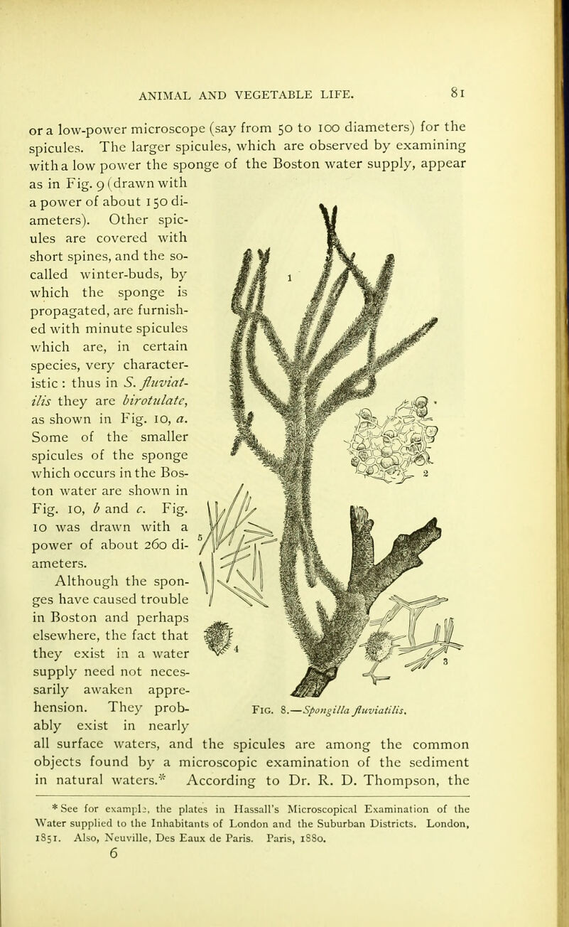 or a low-power microscope (say from 50 to 100 diameters) for the spicules. The larger spicules, which are observed by examining with a low power the sponge of the Boston water supply, appear as in Fig. 9 (drawn with a power of about 150 di- ameters). Other spic- ules are covered with short spines, and the so- called winter-buds, by which the sponge is propagated, are furnish- ed with minute spicules which are, in certain species, very character- istic : thus in S. fluviat- ilis they are birotulate, as shown in Fig. 10, a. Some of the smaller spicules of the sponge which occurs in the Bos- ton water are shown in Fig. 10, b and c. Fig. 10 was drawn with a power of about 260 di- ameters. Although the spon- ges have caused trouble in Boston and perhaps elsewhere, the fact that they exist in a water supply need not neces- sarily awaken appre- hension. They prob- ably exist in nearly all surface waters, and the spicules are among the common objects found by a microscopic examination of the sediment in natural waters.' According to Dr. R. D. Thompson, the * See for example, the plates in Hassail's Microscopical Examination of the Water supplied to the Inhabitants of London and the Suburban Districts. London, 1851. Also, Ncuville, Des Eaux de Paris. Paris, 1SS0. 6 Fig. 8.—Spongilla Jiuviatilis,