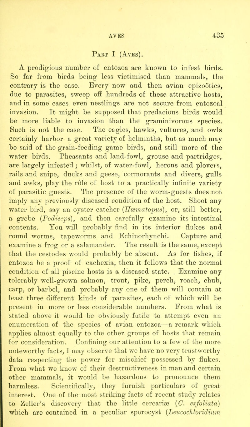 Part I (Aves). A prodigious number of entozoa are known to infest birds. So far from birds being less victimised than mammals, the contrary is the case. Every now and then avian epizootics, due to parasites, sweep off hundreds of these attractive hosts, and in some cases even nestlings are not secure from entozoal invasion. It might be supposed that predacious birds would be more liable to invasion than the graminivorous species. Such is not the case. The eagles, hawks, vultures, and owls certainly harbor a great variety of helminths, but as much may be said of the grain-feeding game birds, and still more of the water birds. Pheasants and land-fowl, grouse and partridges, are largely infested; whilst, of water-fowl, herons and plovers, rails and snipe, ducks and geese, cormorants and divers, gulls and awks, play the role of host to a practically infinite variety of parasitic guests. The presence of the worm-guests does not imply any previously diseased condition of the host. Shoot any water bird, say an oyster catcher (Hce mat opus), or, still better, a grebe (Podiceps), and then carefully examine its intestinal contents. You will probably find in its interior flukes and round worms, tapeworms and Echinorhynchi. Capture and examine a frog or a salamander. The result is the same, except that the cestodes would probably be absent. As for fishes, if entozoa be a proof of cachexia, then it follows that the normal condition of all piscine hosts is a diseased state. Examine any tolerably well-grown salmon, trout, pike, perch, roach, chub, carp, or barbel, and probably any one of them will contain at least three different kinds of parasites, each of which will be present in more or less considerable numbers. From what is stated above it would be obviously futile to attempt even an enumeration of the species of avian entozoa—a remark which applies almost equally to the other groups of hosts that remain for consideration. Confining our attention to a few of the more noteworthy facts, I may observe that we have no very trustworthy data respecting the power for mischief possessed by flukes. From what we know of their destructiveness in man and certain other mammals, it would be hazardous to pronounce them harmless. Scientifically, they furnish particulars of great interest. One of the most striking facts of recent study relates to Zeller's discovery that the little cercariaa (C. exfoliata) which are contained in a peculiar sporocyst {LeucocJiIoridiiim