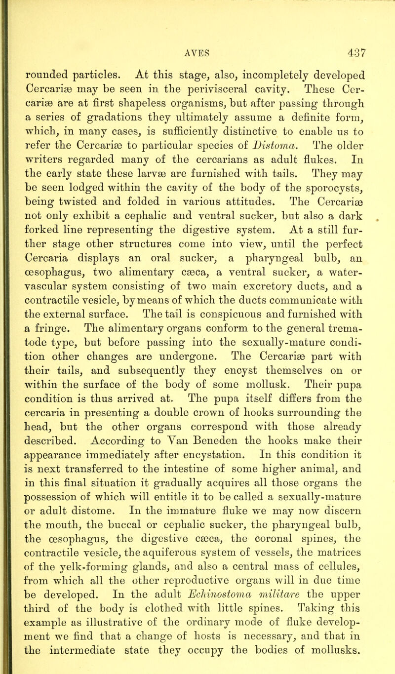 rounded particles. At this stage, also, incompletely developed Cercariae may be seen in the perivisceral cavity. These Cer- cariae are at first shapeless organisms, but after passing through a series of gradations they ultimately assume a definite form, which, in many cases, is sufficiently distinctive to enable us to refer the Cercariae to particular species of Distoma. The older writers regarded many of the cercarians as adult flukes. In the early state these larvae are furnished with tails. They may be seen lodged within the cavity of the body of the sporocysts, being twisted and folded in various attitudes. The Cercariae not only exhibit a cephalic and ventral sucker, but also a dark forked line representing the digestive system. At a still fur- ther stage other structures come into view, until the perfect Cercaria displays an oral sucker, a pharyngeal bulb, an oesophagus, two alimentary caeca, a ventral sucker, a water- vascular system consisting of two main excretory ducts, and a contractile vesicle, by means of which the ducts communicate with the external surface. The tail is conspicuous and furnished with a fringe. The alimentary organs conform to the general trema- tode type, but before passing into the sexually-mature condi- tion other changes are undergone. The Cercariae part with their tails, and subsequently they encyst themselves on or within the surface of the body of some mollusk. Their pupa condition is thus arrived at. The pupa itself differs from the cercaria in presenting a double crown of hooks surrounding the head, but the other organs correspond with those already described. According to Yan Beneden the hooks make their appearance immediately after encystation. In this condition it is next transferred to the intestine of some higher animal, and in this final situation it gradually acquires all those organs the possession of which will entitle it to be called a sexually-mature or adult distome. In the immature fluke we may now discern the mouth, the buccal or cephalic sucker, the pharyngeal bulb, the oesophagus, the digestive caeca, the coronal spines, the contractile vesicle, the aquiferous system of vessels, the matrices of the yelk-forming glands, and also a central mass of cellules, from which all the other reproductive organs will in due time be developed. In the adult Ecliinostoma militare the upper third of the body is clothed with little spines. Taking this example as illustrative of the ordinary mode of fluke develop- ment we find that a change of hosts is necessary, and that in the intermediate state they occupy the bodies of mollusks.