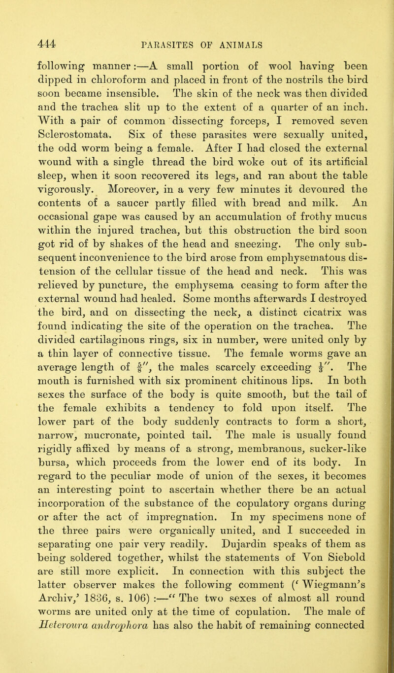 following manner:—A small portion of wool having been dipped in chloroform and placed in front of the nostrils the bird soon became insensible. The skin of the neck was then divided and the trachea slit up to the extent of a quarter of an inch. With a pair of common dissecting forceps, I removed seven Sclerostomata. Six of these parasites were sexually united, the odd worm being a female. After I had closed the external wound with a single thread the bird woke out of its artificial sleep, when it soon recovered its legs, and ran about the table vigorously. Moreover, in a very few minutes it devoured the contents of a saucer partly filled with bread and milk. An occasional gape was caused by an accumulation of frothy mucus within the injured trachea, but this obstruction the bird soon got rid of by shakes of the head and sneezing. The only sub- sequent inconvenience to the bird arose from emphysematous dis- tension of the cellular tissue of the head and neck. This was relieved by puncture, the emphysema ceasing to form after the external wound had healed. Some months afterwards I destroyed the bird, and on dissecting the neck, a distinct cicatrix was found indicating the site of the operation on the trachea. The divided cartilaginous rings, six in number, were united only by a thin layer of connective tissue. The female worms gave an average length of f, the males scarcely exceeding J. The mouth is furnished with six prominent chitinous lips. In both sexes the surface of the body is quite smooth, but the tail of the female exhibits a tendency to fold upon itself. The lower part of the body suddenly contracts to form a short, narrow, mucronate, pointed tail. The male is usually found rigidly affixed by means of a strong, membranous, sucker-like bursa, which proceeds from the lower end of its body. In regard to the peculiar mode of union of the sexes, it becomes an interesting point to ascertain whether there be an actual incorporation of the substance of the copulatory organs during or after the act of impregnation. In my specimens none of the three pairs were organically united, and I succeeded in separating one pair very readily. Dujardin speaks of them as being soldered together, whilst the statements of Yon Siebold are still more explicit. In connection with this subject the latter observer makes the following comment (f Wiegmann's Archiv/ 1836, s. 106) :— The two sexes of almost all round worms are united only at the time of copulation. The male of Heteroura androjpJiora has also the habit of remaining connected