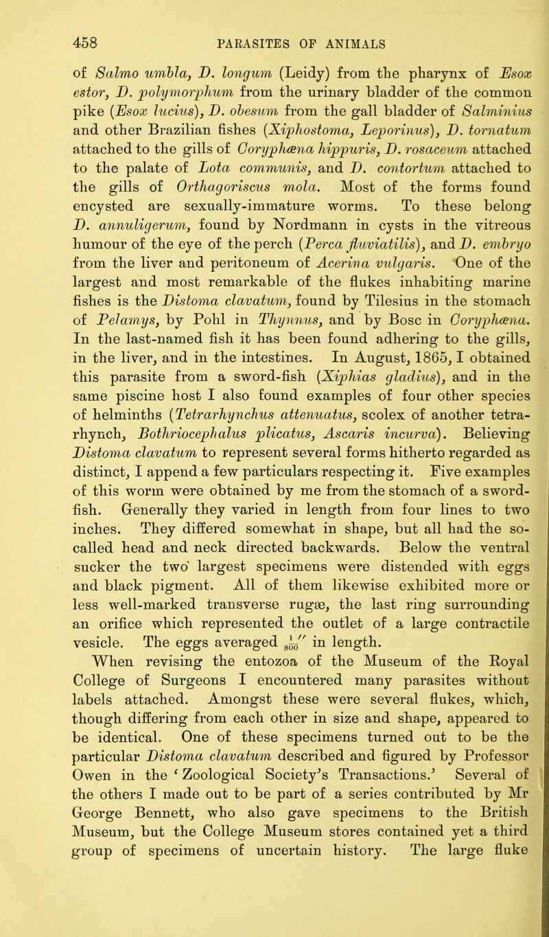 of Salmo umbla, D. longum (Leidy) from the pharynx of Esox estor, D. polymorphism from the urinary bladder of the common pike (Esox lucius), D. obesum from the gall bladder of Salminius and other Brazilian fishes (Xiphostoma, Leporinus), D. tomatum attached to the gills of Goryphcena hippuris, D. rosaceum attached to the palate of Lota communis, and D. contortum attached to the gills of Orthagoriscus mola. Most of the forms found encysted are sexually-immature worms. To these belong D. annuligerum, found by Nordmann in cysts in the vitreous humour of the eye of the perch (Perca fluviatilis), and D. embryo from the liver and peritoneum of Acerina vulgaris. One of the largest and most remarkable of the flukes inhabiting marine fishes is the Distoma clavatum, found by Tilesius in the stomach of Pelamys, by Pohl in Thynnus, and by Bosc in Goryphaena. In the last-named fish it has been found adhering to the gills, in the liver, and in the intestines. In August, 1865, 1 obtained this parasite from a sword-fish (Xiphias gladius)} and in the same piscine host I also found examples of four other species of helminths (Tetrarhynchus attenuatus, scolex of another tetra- rhynch, Bothriocephalus plicatus, Ascaris incurva). Believing Distoma clavatum to represent several forms hitherto regarded as distinct, I append a few particulars respecting it. Five examples of this worm were obtained by me from the stomach of a sword- fish. Generally they varied in length from four lines to two inches. They differed somewhat in shape, but all had the so- called head and neck directed backwards. Below the ventral sucker the two largest specimens were distended with eggs and black pigment. All of them likewise exhibited more or less well-marked transverse rugge, the last ring surrounding an orifice which represented the outlet of a large contractile vesicle. The eggs averaged J^ in length. When revising the entozoa of the Museum of the Royal College of Surgeons I encountered many parasites without labels attached. Amongst these were several flukes, which, though differing from each other in size and shape, appeared to be identical. One of these specimens turned out to be the particular Distoma clavatum described and figured by Professor Owen in the ' Zoological Society's Transactions/ Several of the others I made out to be part of a series contributed by Mr George Bennett, who also gave specimens to the British Museum, but the College Museum stores contained yet a third group of specimens of uncertain history. The large fluke