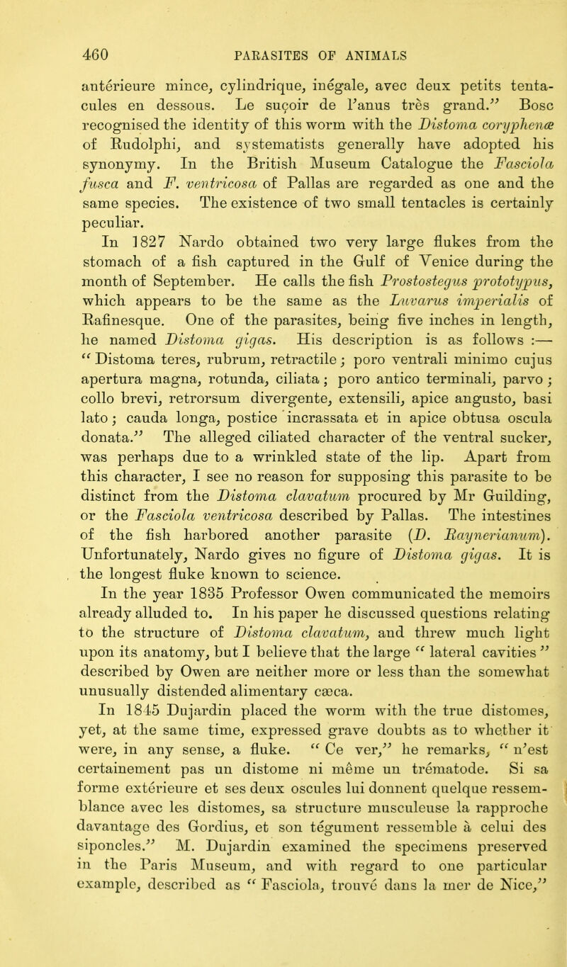 anterieure mince, cylindrique, inegale, avec deux petits tenta- cules en dessous. Le sucoir de Fanus tres grand. Bosc recognised the identity of this worm with the Distoma coryplience of Rudolphi, and systematists generally have adopted his synonymy. In the British Museum Catalogue the FascioJa fusca and F. ventricosa of Pallas are regarded as one and the same species. The existence of two small tentacles is certainly peculiar. In 1827 Nardo obtained two very large flukes from the stomach of a fish captured in the Gulf of Venice during the month of September. He calls the fish Prostostegus prototypus, which appears to be the same as the Luvarus imperialis of Rafinesque. One of the parasites, being five inches in length, he named Distoma gigas. His description is as follows :—  Distoma teres, rubrum, retractile; poro ventrali minimo cujus apertura magna, rotunda, ciliata; poro antico terminali, parvo ; collo brevi, retrorsum divergente, extensili, apice angusto, basi lato; cauda longa, postice incrassata et in apice obtusa oscula donata. The alleged ciliated character of the ventral sucker, was perhaps due to a wrinkled state of the lip. Apart from this character, I see no reason for supposing this parasite to be distinct from the Distoma clavatum procured by Mr Guilding, or the Fasciola ventricosa described by Pallas. The intestines of the fish harbored another parasite (D. Paynerianum). Unfortunately, Nardo gives no figure of Distoma gigas. It is the longest fluke known to science. In the year 1835 Professor Owen communicated the memoirs already alluded to. In his paper he discussed questions relating to the structure of Distoma clavatum, and threw much light upon its anatomy, but I believe that the large (C lateral cavities  described by Owen are neither more or less than the somewhat unusually distended alimentary casca. In 1845 Dujardin placed the worm with the true distomes, yet, at the same time, expressed grave doubts as to whether it were, in any sense, a fluke.  Ce ver, he remarks,  n'est certainement pas un distome ni nierne un trematode. Si sa forme exterieure et ses deux oscules lui donnent quelque resseni- blance avec les distomes, sa structure musculeuse la rapproche davantage des Gordius, et son tegument ressemble a celui des siponcles.- M. Dujardin examined the specimens preserved in the Paris Museum, and with regard to one particular example, described as  Fasciola, trouve dans la mer de Nice,