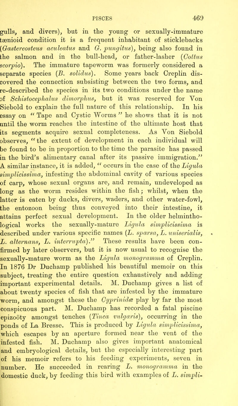 gulls, and divers), but in the young or sexually-immature taenioid condition it is a frequent inhabitant of sticklebacks (Gastereosteus aculeatus and G. pungitus), being also found in bhe salmon and in the bull-head, or father-lasher (Cottus scorpio). The immature tapeworm was formerly considered a separate species (B. solidus). Some years back Oreplin dis- covered the connection subsisting between the two forms, and re-described the species in its two conditions under the name of Schistocephalus dimorphus, but it was reserved for Yon Siebold to explain the full nature of this relationship. In his essay on Tape and Cystic Worms he shows that it is not until the worm reaches the intestine of the ultimate host that its segments acquire sexual completeness. As Yon Siebold observes, the extent of development in each individual will be found to be in proportion to the time the parasite has passed in the bird's alimentary canal after its passive immigration. A similar instance, it is added, occurs in the case of the Ligula simplicissima, infesting the abdominal cavity of various species of carp, whose sexual organs are, and remain, undeveloped as long as the worm resides within the fish; whilst, when the latter is eaten by ducks, divers, waders, and other water-fowl, the entozoon being thus conveyed into their intestine, it attains perfect sexual development. In the older helmintho- logical works the sexually-mature Ligula simplicissima is described under various specific names (L. sparsa, L. uniserialis, L. alternans, L. interrupta) These results have been con- firmed by later observers, but it is now usual to recognise the sexually-mature worm as the Ligula monogramma of Creplin. In 1876 Dr Duchamp published his beautiful memoir on this subject, treating the entire question exhaustively and adding important experimental details. M. Duchamp gives a list of about twenty species of fish that are infested by the immature worm, and amongst these the Gyprinidce play by far the most conspicuous part. M. Duchamp has recorded a fatal piscine epizooty amongst tenches {Tinea vulgaris), occurring in the ponds of La Bresse. This is produced by Ligula simplicissima, which escapes by an aperture formed near the vent of the infested fish. M. Duchamp also gives important anatomical and embryological details, but the especially interesting part of his memoir refers to his feeding experiments, seven in number. He succeeded in rearing L. monogramma in the domestic duck, by feeding this bird with examples of L. simpli-