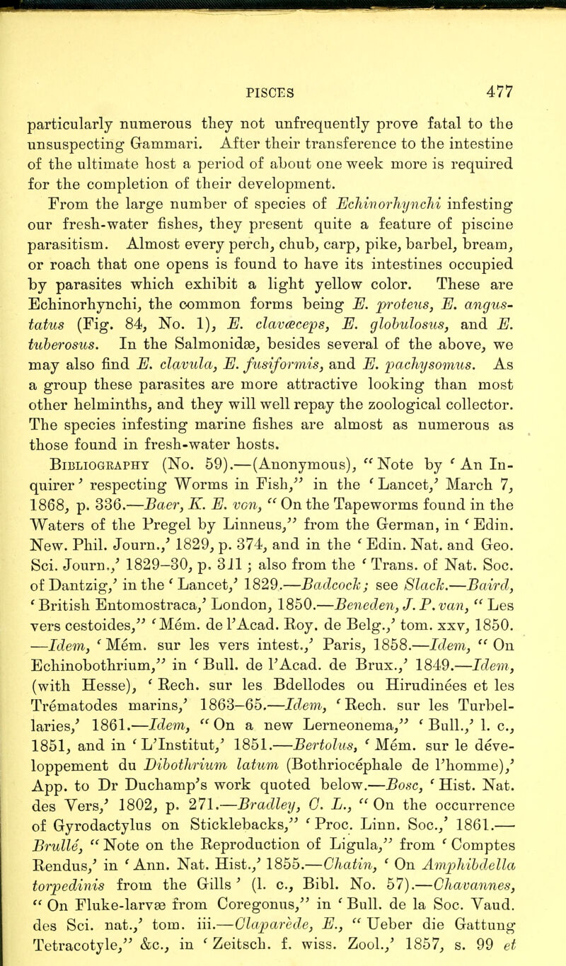 particularly numerous they not unfrequently prove fatal to the unsuspecting Gammari. After their transference to the intestine of the ultimate host a period of about one week more is required for the completion of their development. From the large number of species of Echinorhynchi infesting our fresh-water fishes, they present quite a feature of piscine parasitism. Almost every perch, chub, carp, pike, barbel, bream, or roach that one opens is found to have its intestines occupied by parasites which exhibit a light yellow color. These are Echinorhynchi, the common forms being E. proteus, E, cmgus- tatus (Fig. 84, No. 1), E. clav&ceps, E. globulosus, and E. tuberosus. In the Salmonidge, besides several of the above, we may also find E. clavula, E. fusiformis, and E. pachysomus. As a group these parasites are more attractive looking than most other helminths, and they will well repay the zoological collector. The species infesting marine fishes are almost as numerous as those found in fresh-water hosts. Bibliography (No. 59).—(Anonymous), Note by ' An In- quirer ' respecting Worms in Fish/' in the ' Lancet/ March 7, 1868, p. 336.—Baer, K. E. von,  On the Tapeworms found in the Waters of the Pregel by Linneus/' from the German, in ( Edin. New. Phil. Journ./ 1829, p. 374, and in the ( Edin. Nat. and Geo. Sci. Journ./ 1829-30, p. 3 Jl ; also from the ' Trans, of Nat. Soc. of Dantzig/ in the ( Lancet/ 1829.—Badcoch; see Slack.—Baird, 'British Entomostraca/ London, 1850.—Beneden, J. P. van, u Les vers cestoides/' fMem. de FAcad. Roy. de Belg./ torn, xxv, 1850. —Idem, c Mem. sur les vers intest./ Paris, 1858.—Idem,  On Echinobothrium/' in ' Bull, de PAcad. de Brux./ 1849.—Idem, (with Hesse), ' Rech. sur les Bdellodes ou Hirudinees et les Trematodes marins/ 1863—65.—Idem, (Rech. sur les Turbel- laries/ 1861.—Idem, On a new Lerneonema/' ' Bull./ 1. c, 1851, and in 1 L'Institut/ 1851.—Bertolus, ' Mem. sur le deve- loppement du Dibothrium latum (Bothriocephale de Fhomme)/ App. to Dr Duchamp's work quoted below.—Bosc, ' Hist. Nat. des Vers/ 1802, p. 271.—Bradley, G. L., On the occurrence of Gyrodactylus on Sticklebacks/' ' Proc. Linn. Soc./ 1861.— Brulle,  Note on the Reproduction of Ligula/' from ' Comptes Rendus/ in ' Ann. Nat. Hist./ 1855.—Chatin, ' On Amphibdella torpedinis from the Gills' (1. c, Bibl. No. 57).—Chavannes,  On Fluke-larvas from Coregonus/' in e Bull, de la Soc. Yaud. des Sci. nat./ torn. iii.—Claparede, E.,  Ueber die Gattung Tetracotyle/' &c, in ' Zeitsch. f. wiss. Zool./ 1857, s. 99 et
