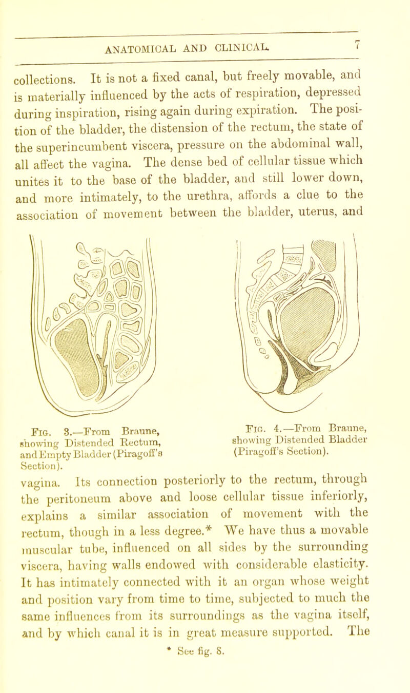 collections. It is not a fixed canal, but freely movable, and is materially influenced by the acts of respiration, depressed during inspiration, rising again during expiration. The posi- tion of the bladder, the distension of the rectum, the state of the superincumbent viscera, pressure on the abdominal wall, all affect the vagina. The dense bed of cellular tissue which unites it to the base of the bladder, and still lower down, and more intimately, to the urethra, affords a clue to the association of movement between the bladder, uterus, and Fig. 3.—From Bratme, Fig. 4.—From Branne, showing Distended Rectum, showing Distended Bladder and Empty Bladder (Piragoff'a (Piragofi's Section). Section). vagina. Its connection posteriorly to the rectum, through the peritoneum above and loose cellular tissue inferiorly, explains a similar association of movement with the rectum, though in a less degree.* We have thus a movable muscular tube, influenced on all sides by the surrounding viscera, having walls endowed with considerable elasticity. It has intimately connected with it an organ whose weight and position vary from time to time, subjected to much the same influences from its surroundings as the vagina itself, and by which canal it is in great measure supported. The * See fig. 8.