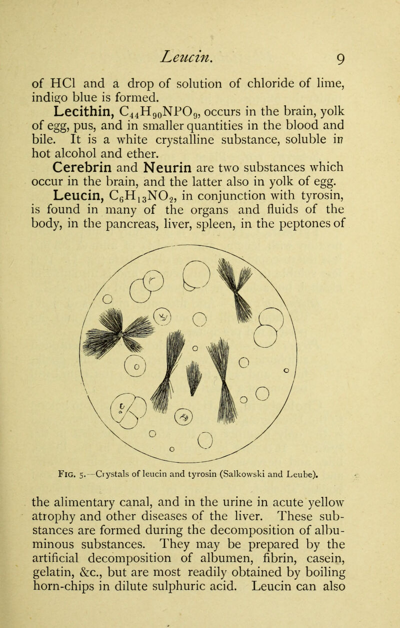 Leucin. of HCl and a drop of solution of chloride of lime, indi2:o blue is formed. Lecithin, C44HgoNP09, occurs in the brain, yolk of egg, pus, and in smaller quantities in the blood and bile. It is a white crystalline substance, soluble in hot alcohol and ether. Cerebrin and Neurin are two substances which occur in the brain, and the latter also in yolk of egg. Leucin, CgHigNOg, in conjunction with tyrosin, is found in many of the organs and fluids of the body, in the pancreas, liver, spleen, in the peptones of Fig. 5.—Crystals of leucin and tyrosin (Salkowski and Leube). the alimentary canal, and in the urine in acute yellow atrophy and other diseases of the hver. These sub- stances are formed during the decomposition of albu- minous substances. They may be prepared by the artificial decomposition of albumen, fibrin, casein, gelatin, &c., but are most readily obtained by boiling horn-chips in dilute sulphuric acid. Leucin can also