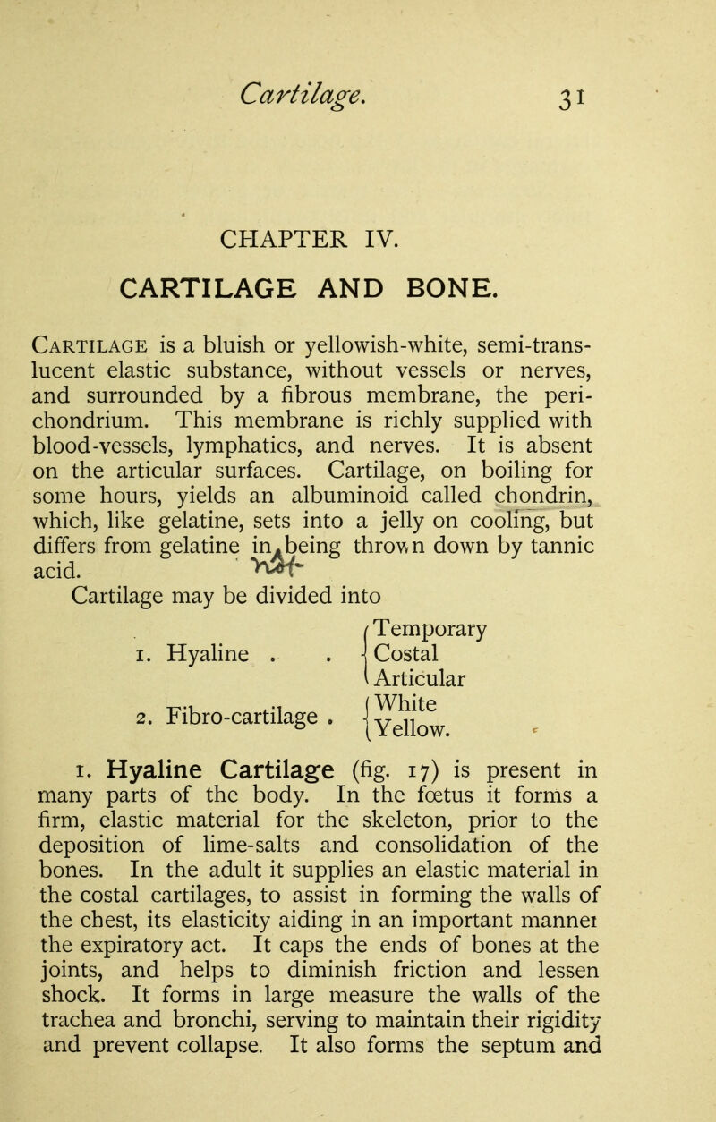 CHAPTER IV. CARTILAGE AND BONE. Cartilage is a bluish or yellowish-white, semi-trans- lucent elastic substance, without vessels or nerves, and surrounded by a fibrous membrane, the peri- chondrium. This membrane is richly supplied with blood-vessels, lymphatics, and nerves. It is absent on the articular surfaces. Cartilage, on boiling for some hours, yields an albuminoid called chondrin, which, like gelatine, sets into a jelly on cooling, but differs from gelatine in*being throvvn down by tannic acid. Cartilage may be divided into I. Hyaline Cartilage (fig. 17) is present in many parts of the body. In the foetus it forms a firm, elastic material for the skeleton, prior to the deposition of lime-salts and consolidation of the bones. In the adult it supplies an elastic material in the costal cartilages, to assist in forming the walls of the chest, its elasticity aiding in an important mannei the expiratory act. It caps the ends of bones at the joints, and helps to diminish friction and lessen shock. It forms in large measure the walls of the trachea and bronchi, serving to maintain their rigidity and prevent collapse. It also forms the septum and I. Hyahne . Temporary Costal Articular 2. Fibro-cartilage .