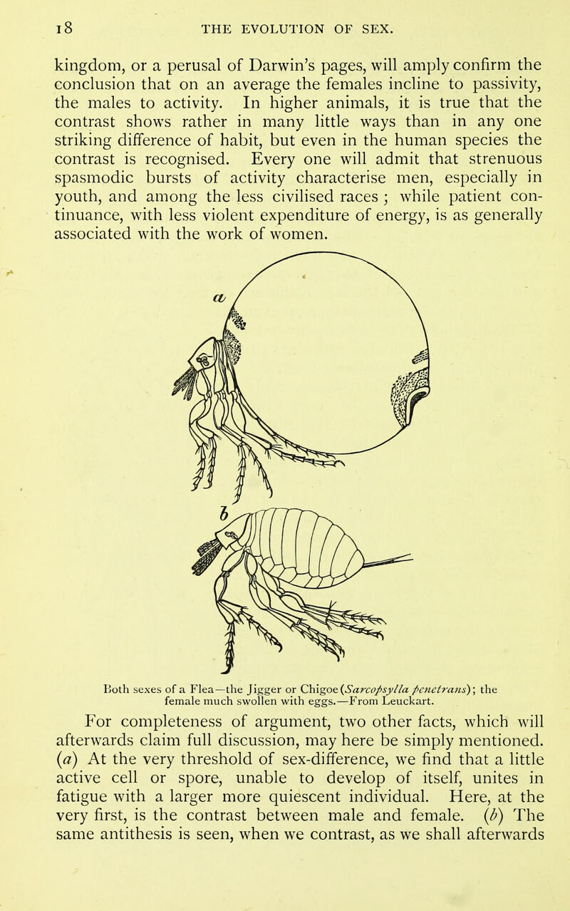 kingdom, or a perusal of Darwin's pages, will amply confirm the conclusion that on an average the females incline to passivity, the males to activity. In higher animals, it is true that the contrast shows rather in many little ways than in any one striking difference of habit, but even in the human species the contrast is recognised. Every one will admit that strenuous spasmodic bursts of activity characterise men, especially in youth, and among the less civilised races ; while patient con- tinuance, with less violent expenditure of energy, is as generally associated with the work of women. Both sexes of a Flea—the Jigger or Chigoe (Sarcopsy//a f>cnctra)is)\ the female much swollen with eggs.—From Leuckart. For completeness of argument, two other facts, which will afterwards claim full discussion, may here be simply mentioned. {a) At the very threshold of sex-difference, we find that a little active cell or spore, unable to develop of itself, unites in fatigue with a larger more quiescent individual. Here, at the very first, is the contrast between male and female, {b) The same antithesis is seen, when we contrast, as we shall afterwards