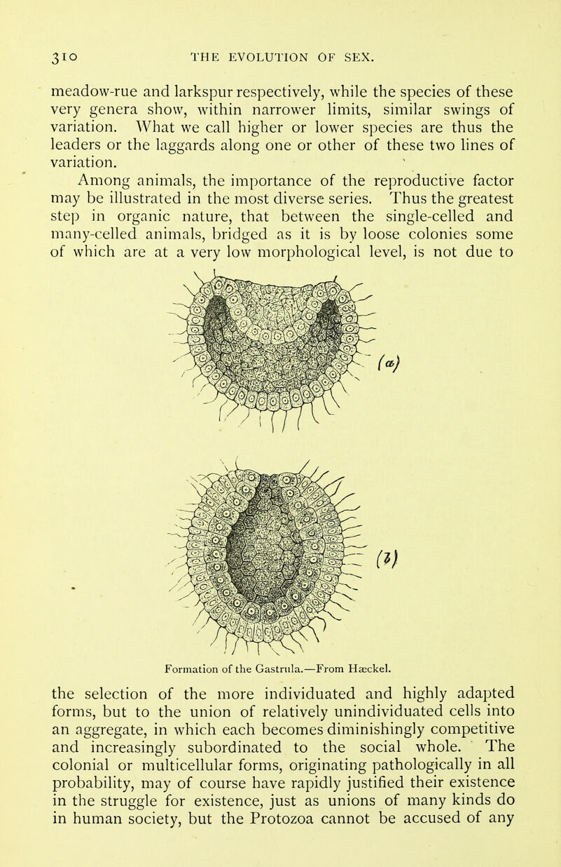 meadow-rue and larkspur respectively, while the species of these very genera show, within narrower limits, similar swings of variation. What we call higher or lower species are thus the leaders or the laggards along one or other of these two lines of variation. Among animals, the importance of the reproductive factor may be illustrated in the most diverse series. Thus the greatest step in organic nature, that between the single-celled and many-celled animals, bridged as it is by loose colonies some of which are at a very low morphological level, is not due to Formation of the Gastnila.—From Haeckel. the selection of the more individuated and highly adapted forms, but to the union of relatively unindividuated cells into an aggregate, in which each becomes diminishingly competitive and increasingly subordinated to the social whole. The colonial or multicellular forms, originating pathologically in all probability, may of course have rapidly justified their existence in the struggle for existence, just as unions of many kinds do in human society, but the Protozoa cannot be accused of any