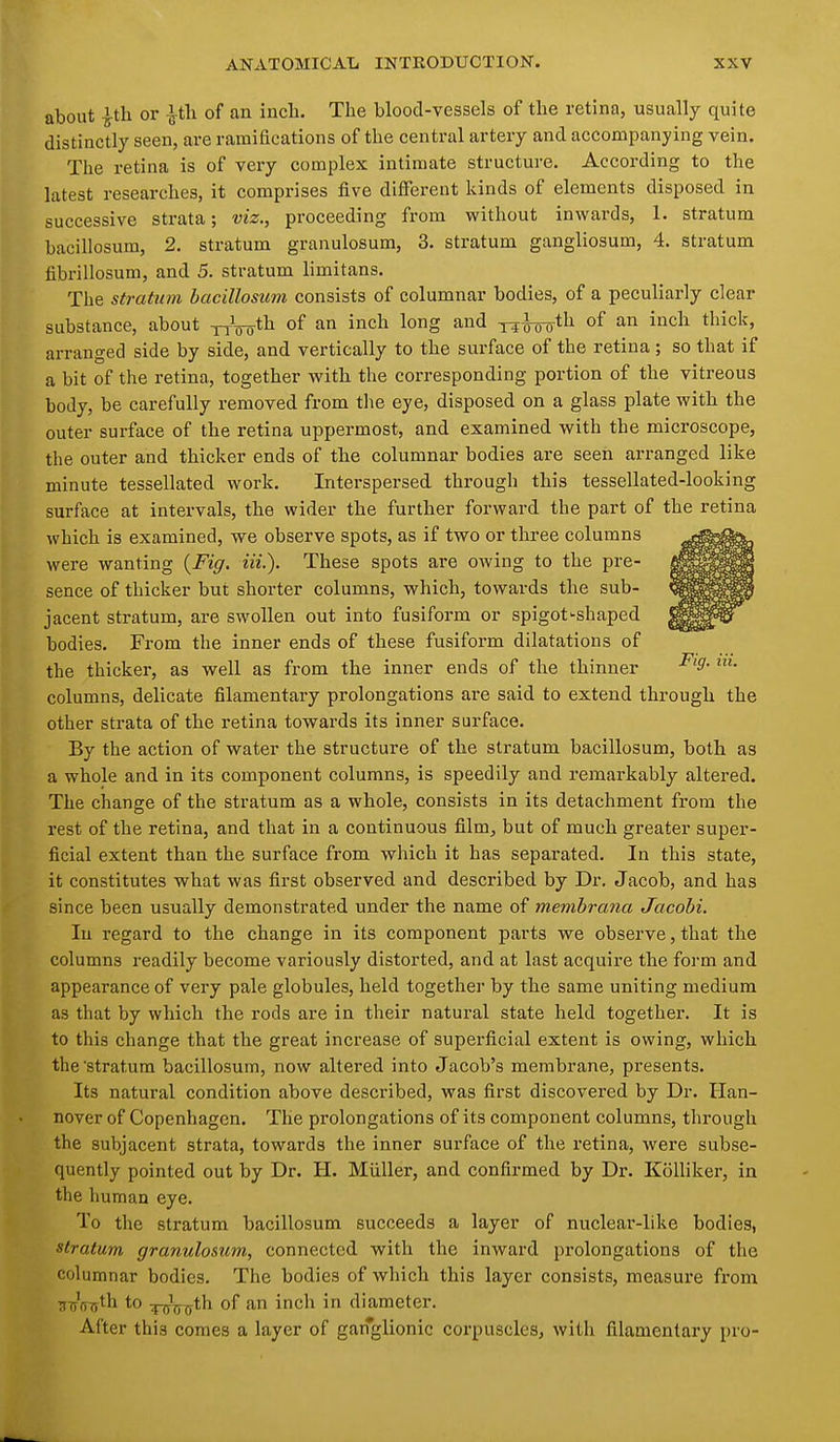 about |th or -J^tli of an incli. The blood-vessels of the retina, usually quite distinctly seen, are ramifications of the central artery and accompanying vein. The retina is of very complex intimate structure. According to the latest researches, it comprises five difierent kinds of elements disposed in successive strata; viz., proceeding from without inwards, 1. stratum bacillosum, 2. stratum granulosum, 3. stratum gangliosum, 4. stratum fibrillosum, and 5. stratum limitans. The stratum bacillosum consists of columnar bodies, of a peculiarly clear substance, about yrW^ of ^^'^^ long and TTWiitli o^ ^^^^ t''^^^'' arranged side by side, and vertically to the surface of the retina ; so that if a bit of the retina, together with the corresponding portion of the vitreous body, be carefully removed from the eye, disposed on a glass plate with the outer surface of the retina uppermost, and examined with the microscope, the outer and thicker ends of the columnar bodies are seen arranged like minute tessellated work. Interspersed through this tessellated-looking surface at intervals, the wider the further forward the part of the retina which is examined, we observe spots, as if two or three columns were wanting {Fig, Hi.). These spots are owing to the pre- sence of thicker but shorter columns, which, towards the sub- jacent stratum, are swollen out into fusiform or spigot-shaped bodies. From the inner ends of these fusiform dilatations of the thicker, as well as from the inner ends of the thinner columns, delicate filamentary prolongations are said to extend through the other strata of the retina towards its inner surface. By the action of water the structure of the stratum bacillosum, both as a whole and in its component columns, is speedily and remarkably altered. The change of the stratum as a whole, consists in its detachment from the rest of the retina, and that in a continuous film, but of much greater super- ficial extent than the surface from which it has separated. In this state, it constitutes what was first observed and described by Dr, Jacob, and has since been usually demonstrated under the name of membrana Jacobi. lu regard to the change in its component parts we observe, that the columns readily become variously distorted, and at last acquire the form and appearance of very pale globules, held together by the same uniting medium as that by which the rods are in their natural state held together. It is to this change that the great increase of superficial extent is owing, which the stratum bacillosum, now altered into Jacob's membrane, presents. Its natural condition above described, was first discovered by Dr. Han- nover of Copenhagen. The prolongations of its component columns, through the subjacent strata, towards the inner surface of the retina, were subse- quently pointed out by Dr. H. MUUer, and confirmed by Dr. KoUiker, in the human eye. To the stratum bacillosum succeeds a layer of nuclear-like bodies, stratum granulosum, connected with the inward prolongations of the columnar bodies. The bodies of which this layer consists, measure from ^j^'n^^th to ^V^rth of an inch in diameter. After this comes a layer of gan*glionic corpuscles, with filamentary pro-