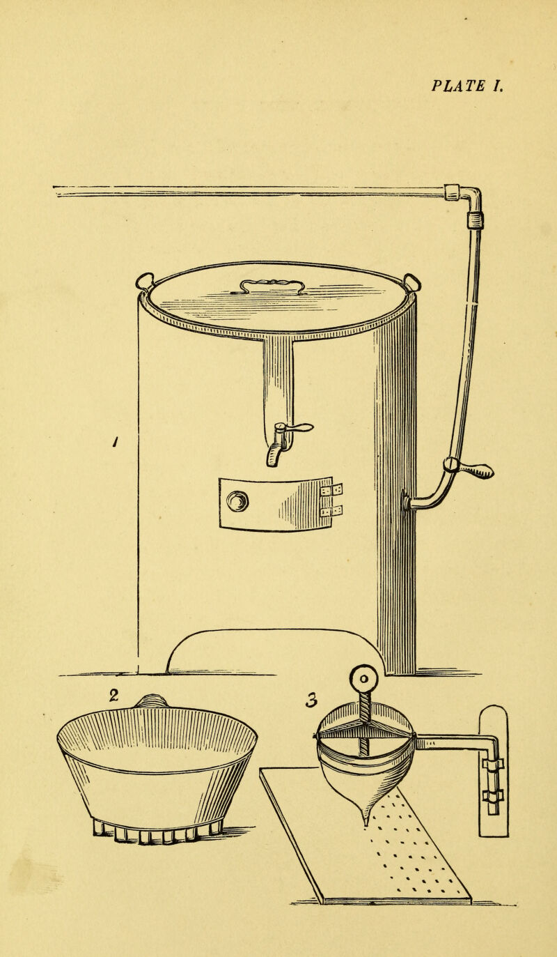 PLATE 1.