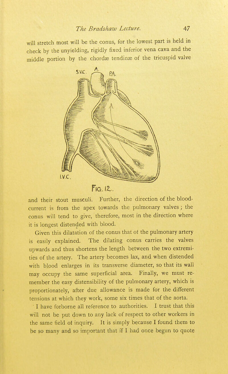 will stretch most will be the conus, for the lowest part is held in check by the unyielding, rigidly fixed inferior vena cava and the middle portion by the chordae tendinse of the tricuspid valve Fig. 12.. and their stout musculi. Further, the direction of the blood- current is from the apex towards the pulmonary valves; the conus will tend to give, therefore, most in the direction where it is longest distended with blood. Given this dilatation of the conus that of the pulmonary artery is easily explained. The dilating conus carries the valves upwards and thus shortens the length between the two extremi- ties of the artery. The artery becomes lax, and when distended with blood enlarges in its transverse diameter, so that its wall may occupy the same superficial area. Finally, we must re- member the easy distensibility of the pulmonary artery, which is proportionately, after due allowance is made for the different tensions at which they work, some six times that of the aorta. I have forborne all reference to authorities. I trust that this will not be put down to any lack of respect to other workers in the same field of inquiry. It is simply because I found them to be so many and so important that if I had once begun to quote