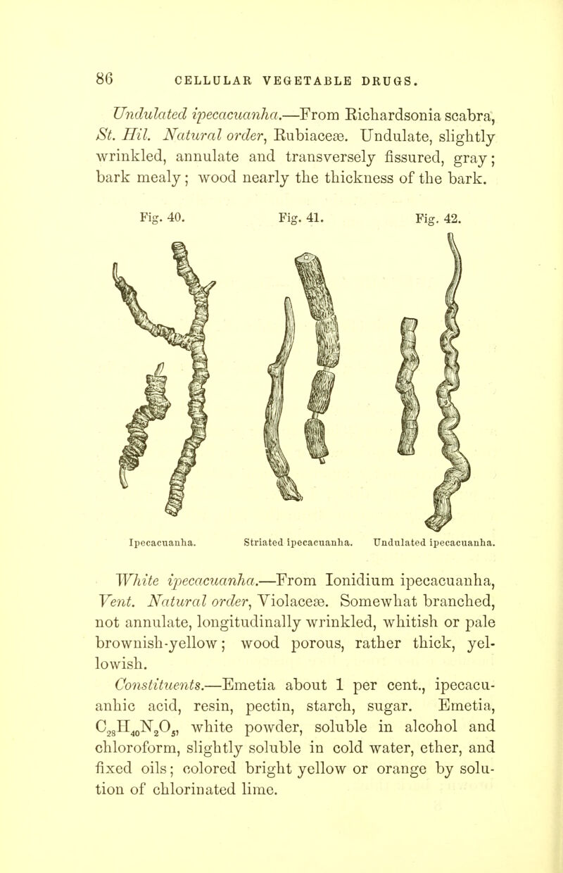 Undulated ipecacuanha.—From Kichardsonia scabra, St. Hil. Natural order, Kubiaceae. Undulate, slightly wrinkled, annulate and transversely fissured, gray; bark mealy; wood nearly the thickness of the bark. Fig. 40. Fig. 41. Fig. 42. Ipecacuanha. Striated ipecacuanha. Undulated ipecacuanha. White ipecacuanha.—From Ionidium ipecacuanha, Vent. Natural order, Violacese. Somewhat branched, not annulate, longitudinally wrinkled, whitish or pale brownish-yellow; wood porous, rather thick, yel- lowish. Co?istituents.—Emetia about 1 per cent., ipecacu- anhic acid, resin, pectin, starch, sugar. Emetia, C28H40N2O5, white powder, soluble in alcohol and chloroform, slightly soluble in cold water, ether, and fixed oils; colored bright yellow or orange by solu- tion of chlorinated lime.