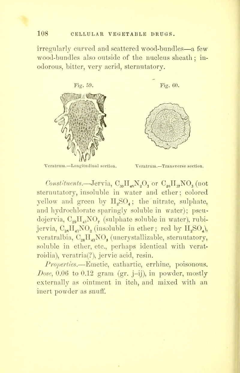 irregularly curved and scattered wood-bundles—a few wood-bundles also outside of the nucleus sheath ; in- odorous, bitter, very acrid, sternutatory. Veratrum.—Longitudinal section. Veratrum.—Transverse section. Constituents.—Jervia, C,0II4BN2O3 or C2ftH37N03 (not sternutatory, insoluble in water and ether; colored yellow and green by H2S04; the nitrate, sulphate, and hydrochlorate sparingly soluble in water); pseu- dojervia, C2gII4rN07 (sulphate soluble in water), rubi- jervia, C2fiH43lN02 (insoluble in ether; red by H2S04), veratralbia, C28H43N05 (uncrystallizable, sternutatory, soluble in ether, etc., perhaps identical with verat- roidia), veratria(?), jervic acid, resin. Properties.—Emetic, cathartic, errhine, poisonous. I)ose} 0.06 to 0.12 gram (gr. j-ij), in powder, mostly externally as ointment in itch, and mixed with an inert powder as snuff.