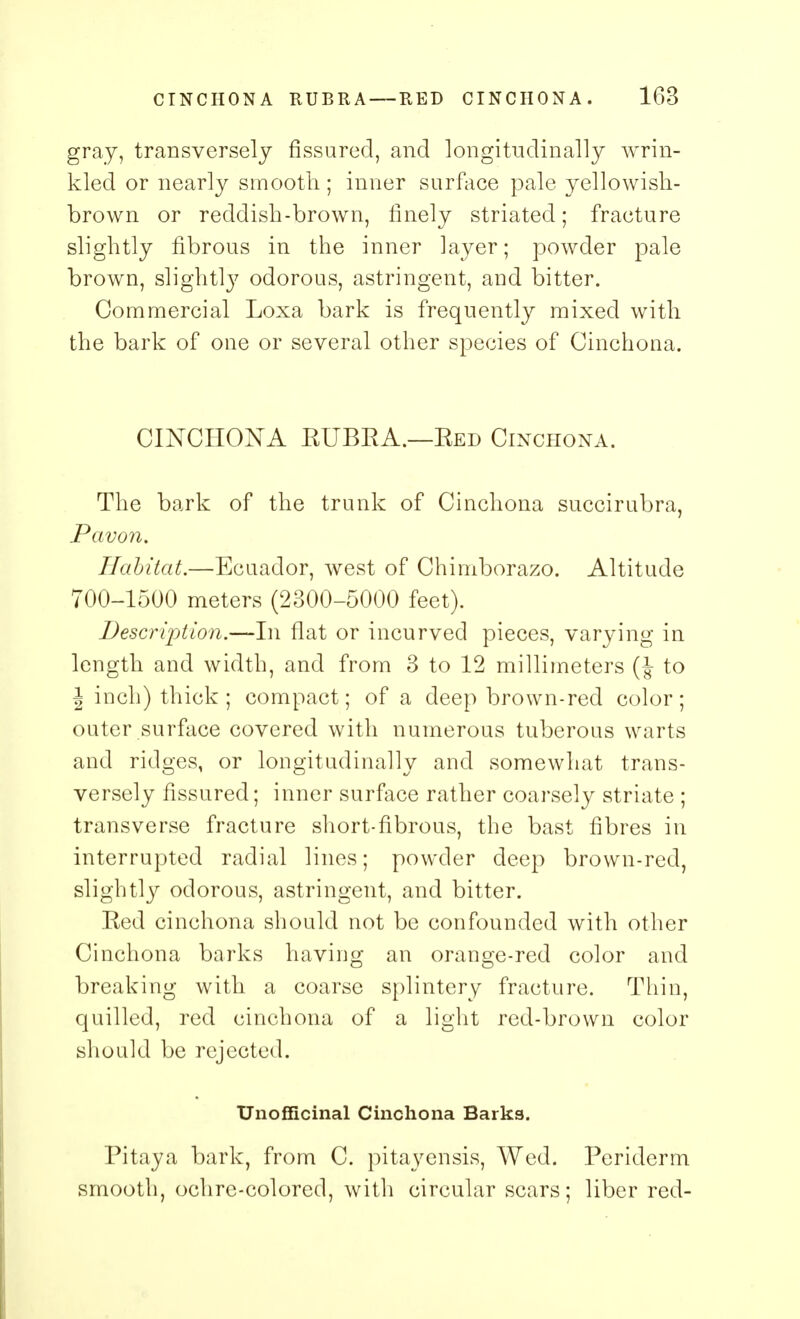 gray, transversely fissured, and longitudinally wrin- kled or nearly smooth; inner surface pale yellowish- brown or reddish-brown, finely striated; fracture slightly fibrous in the inner layer; powder pale brown, slightly odorous, astringent, and bitter. Commercial Loxa bark is frequently mixed with the bark of one or several other species of Cinchona. CINCHONA KUBRA.—Bed Cinchona. The bark of the trunk of Cinchona succirubra, Pavon. Habitat.—Ecuador, west of Chimborazo. Altitude 700-1500 meters (2300-5000 feet). Description.—In flat or incurved pieces, varying in length and width, and from 3 to 12 millimeters (J- to J inch) thick ; compact; of a deep brown-red color; outer surface covered with numerous tuberous warts and ridges, or longitudinally and somewhat trans- versely fissured; inner surface rather coarsely striate ; transverse fracture short-fibrous, the bast fibres in interrupted radial lines; powder deep brown-red, slightly odorous, astringent, and bitter. Red cinchona should not be confounded with other Cinchona barks having an orange-red color and breaking with a coarse splintery fracture. Thin, quilled, red cinchona of a light red-brown color should be rejected. Unofficinal Cinchona Barks. Pitaya bark, from C. pita^yensis, Wed. Periderm smooth, ochre-colored, with circular scars; liber red-