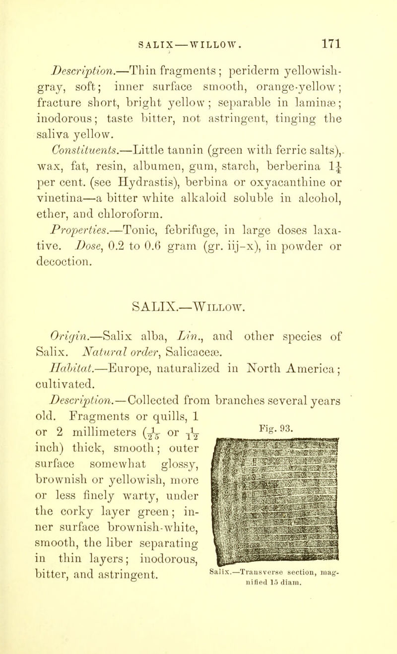 Description.—Thin fragments ; periderm yellowish- gray, soft; inner surface smooth, orange-yellow; fracture short, bright yellow; separable in laminae; inodorous; taste bitter, not astringent, tinging the saliva yellow. Constituents.—Little tannin (green with ferric salts),. wax, fat, resin, albumen, gum, starch, berberina 1J per cent, (see Hydrastis), berbina or oxyacanthine or vinetina—a bitter white alkaloid soluble in alcohol, ether, and chloroform. Properties.—Tonic, febrifuge, in large doses laxa- tive. Dose, 0.2 to 0.6 gram (gr. iij-x), in powder or decoction. SALIX.—Willow. Origin.—Salix alba, Lin., and other species of Salix. Natural order, Salicacese. Habitat.—Europe, naturalized in North America ; cultivated. Description.—Collected from branches several years old. Fragments or quills, 1 or 2 millimeters (-J5 or ^ inch) thick, smooth; outer surface somewhat glossy, brownish or yellowish, more or less finely warty, under the corky layer green; in- ner surface brownish-white, smooth, the liber separating in thin layers; inodorous, bitter, and astringent. i Bed 15 diam.