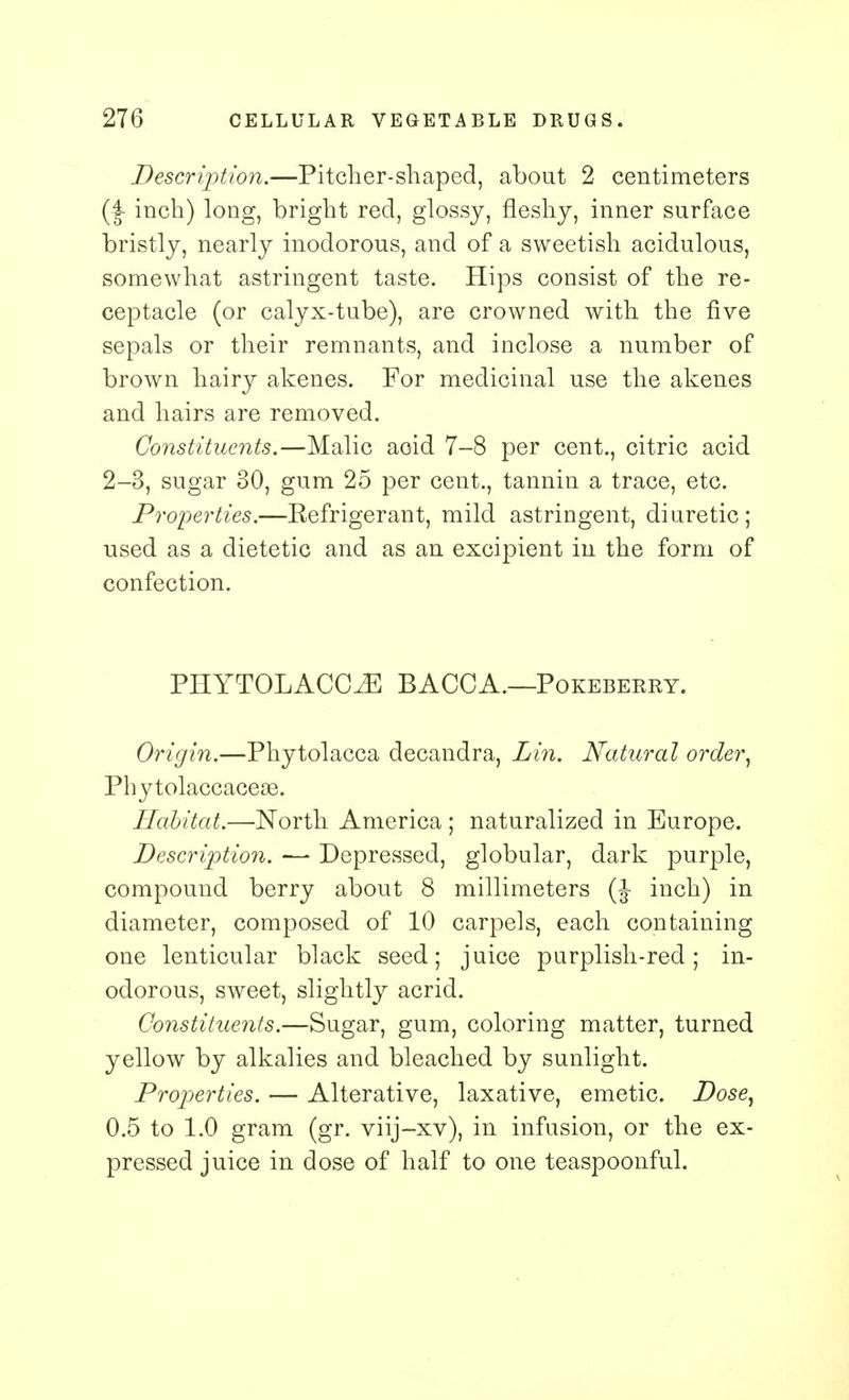 Description.—Pitcher-shaped, about 2 centimeters inch) long, bright red, glossy, fleshy, inner surface bristly, nearly inodorous, and of a sweetish acidulous, somewhat astringent taste. Hips consist of the re- ceptacle (or calyx-tube), are crowned with the five sepals or their remnants, and inclose a number of brown hairy akenes. For medicinal use the akenes and hairs are removed. Constituents.—Malic acid 7-8 per cent., citric acid 2-3, sugar 30, gum 25 per cent., tannin a trace, etc. Properties.—Refrigerant, mild astringent, diuretic; used as a dietetic and as an excipient in the form of confection. PHYTOLACCA BACCA.—Pokeberry. Origin.—Phytolacca decandra, Lin. Natural order, Phytolaccaceae. Habitat.—North America ; naturalized in Europe. Description. — Depressed, globular, dark purple, compound berry about 8 millimeters (J inch) in diameter, composed of 10 carpels, each containing one lenticular black seed; juice purplish-red; in- odorous, sweet, slightly acrid. Constituents.—Sugar, gum, coloring matter, turned yellow by alkalies and bleached by sunlight. Properties. — Alterative, laxative, emetic. Dose, 0.5 to 1.0 gram (gr. viij-xv), in infusion, or the ex- pressed juice in dose of half to one teaspoonful.