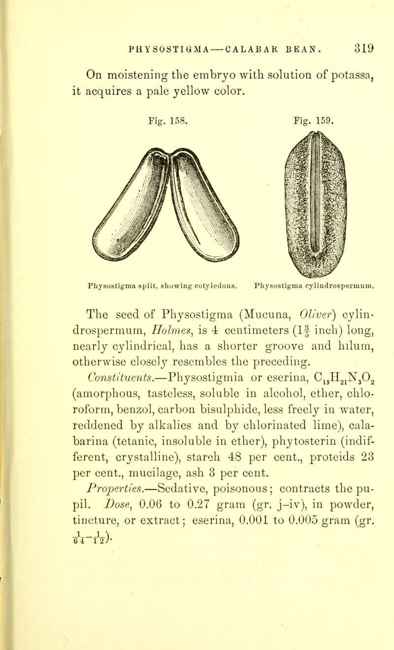 On moistening the embryo with solution of potassa, Physostigma split, showing cotyledons. Physostigma cylindrospermum. The seed of Physostigma (Mucuna, Oliver) cylin- drospermum, Holmes, is 4 centimeters (If inch) long, nearly cylindrical, has a shorter groove and hilum, otherwise close!}7 resembles the preceding. Constituents.—Physostigmia or eserina, C15H21N302 (amorphous, tasteless, soluble in alcohol, ether, chlo- roform, benzol, carbon bisulphide, less freely in water, reddened by alkalies and by chlorinated lime), cala- barina (tetanic, insoluble in ether), phytosterin (indif- ferent, crystalline), starch 48 per cent., proteids 23 per cent., mucilage, ash 3 per cent. Properties.—Sedative, poisonous ; contracts the pu- pil. Dose, 0.06 to 0.27 gram (gr. j-iv), in powder, tincture, or extract; eserina, 0.001 to 0.005 gram (gr. it acquires a pale yellow color. Fig. 158. Fig. 159.