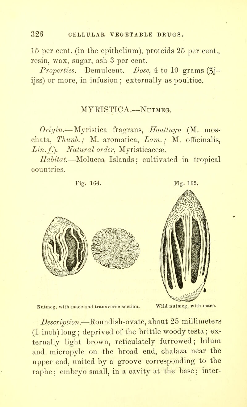 15 per cent, (in the epithelium), proteids 25 per cent., resin, wax, sugar, ash 3 per cent. Properties.—Demulcent. Dose, 4 to 10 grams (5j- ijss) or more, in infusion ; externally as poultice. MYKISTICA.—Nutmeg. Origin.— Myristica fragrans, Houttuyn (M. mos- chata, Thunb.; M. aromatica, Lam.; M. officinalis, Lin. f.). Natural order, Myristicaceae. Habitat.—•Molucca Islands; cultivated in tropical countries. Fig. 164. Fig. 165. Nutmeg, with mace and transverse section. Wild nutmeg, with mace. Description.—Koundish-ovate, about 25 millimeters (1 inch) long; deprived of the brittle woody testa ; ex- ternally light brown, reticulately furrowed; hilum and micropyle on the broad end, chalaza near the upper end, united by a groove corresponding to the raphe; embryo small, in a cavity at the base; inter-