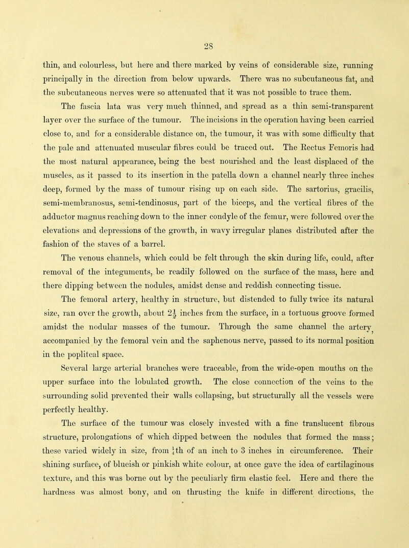 thin, and colourless, but liere and there marked by veins of considerable size, running principally in the direction from below upwards. There was no subcutaneous fat, and the subcutaneous nerves were so attenuated that it was not possible to trace them. The fascia lata was very much thinned, and spread as a thin semi-transparent layer over the surface of the tumour. The incisions in the operation having been carried close to, and for a considerable distance on, the tumour, it was with some difficulty that the pale and attenuated muscular fibres could be traced out. The Eectus Femoris had the most natural appearance, being the best nourished and the least displaced of the muscles, as it passed to its insertion in the patella down a channel nearly three inches deep, formed by the mass of tumour rising up on each side. The sartorius, gracilis, semi-membranosus, semi-tendinosus, part of the biceps, and the vertical fibres of the adductor magnus reaching down to the inner condyle of the femur, were followed over the elevations and depressions of the growth, in wavy irregular planes distributed after the fashion of the staves of a barrel. The venous channels, which could be felt through the skin during life, could, after removal of the integuments, be readily followed on the surface of the mass, here and there dipping between the nodules, amidst dense and reddish connecting tissue. The femoral artery, healthy in structure, but distended to fully twice its natural size, ran over the growth, about 2| inches from the surface, in a tortuous groove formed amidst the nodular masses of the tumour. Through the same channel the artery accompanied by the femoral vein and the saphenous nerve, passed to its normal position in the popliteal space. Several large arterial branches were traceable, from the wide-open mouths on the upper surface into the lobulated growth. The close connection of the veins to the surrounding solid prevented their walls collapsing, but structurally all the vessels Avere perfectly healthy. The surface of the tumour was closely invested with a fine translucent fibrous structure, prolongations of which dipped between the nodules that formed the mass; these varied widely in size, from 4 th of an inch to 3 inches in circumference. Their shining surface, of blueish or pinkish white colour, at once gave the idea of cartilaginous texture, and this was borne out by the peculiarly firm elastic feel. Here and there the hardness was almost bony, and on thrusting the knife in diff'erent directions, the