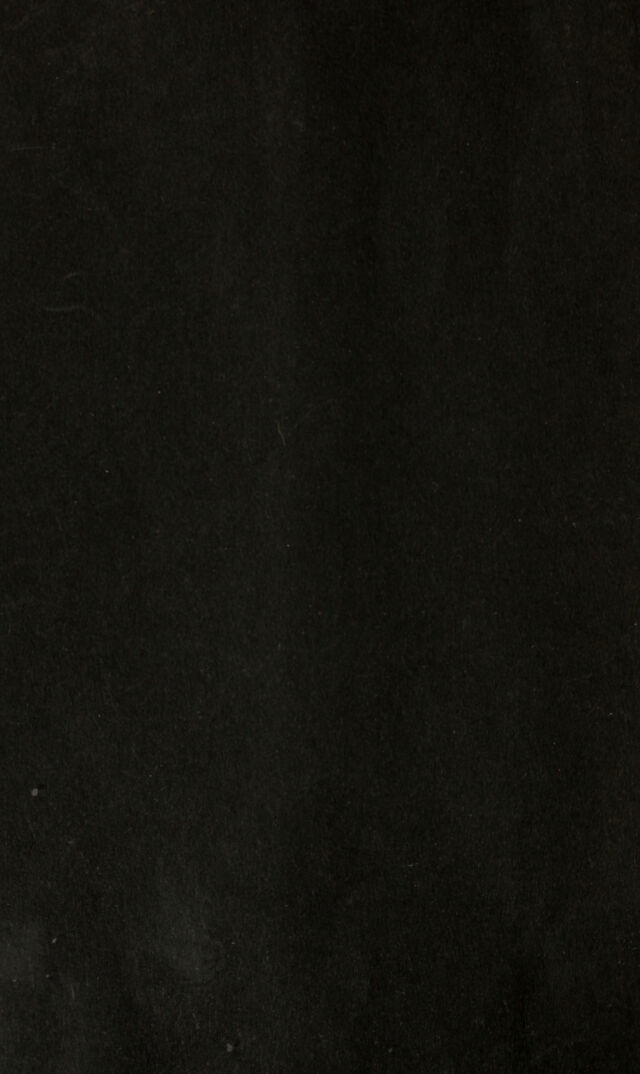 digitised image 2