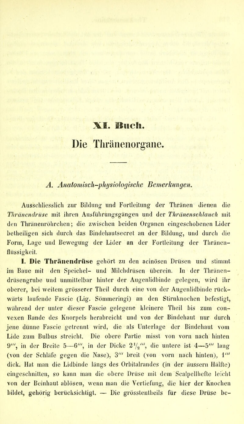 1 XI. ISiich. Die Thränenorgaiie. A. Änatomiscli-plujsiologische Bemerktingen. Ausschliesslich zur Bildung und Fortleitung der Thränen dienen die Thränetidrüse mit ihren Ausfülirungsgängen und der Thränenschlauch mit den Thräuenröluxhen; die zwischen beiden Organen eingeschobenen Lider betheiligen sich durch das Bindehautsecret an der Bildung, und durcli die Form, Lage und Bewegung der Lider an der Fortleitung der Tliränen- flüssigkeit. I. Die Thränendrüse gehört zu den acinösen Drüsen und stimmt im Baue mit den Speichel- und Älilchdrüsen überein. In der Thrilnen- drüsengrube und unmittelbar hinter der Augenlidbinde gelegen, wird ihr oberer, bei weitem grösserer Theil durch eine von der Augenlidbinde rück- wärts laufende Fascie (Lig. Sömmeringi) an den Stirnknochen befestigt, während der unter dieser Fascie gelegene kleinere Theil bis zum con- vexen Rande des Knorpels herabreicht und von der Bindehaut nur durch jene dünne Fascie getrennt w^ird, die als Unterlage der Bindehaut vom Lide zum Bulbus streicht. Die obere Partie misst von vorn nach hinten 9', in der Breite 5—6', in der Dicke I^W, die untere ist 4—5' lang (von der Schläfe gegen die Nase), 3' breit (von vorn nach hinten), i' dick. Hat man die Lidbinde längs des Orbitalrandes (in der äussern Hälfte) eingeschnitten, so kann man die obere Drüse mit dem Scalpellliefte leicht von der Beinhaut ablösen, wenn man die Vertiefung, die hier der Knochen bildet, gehörig berücksichtigt. — Die grösslentlieils für diese Drüse bc-