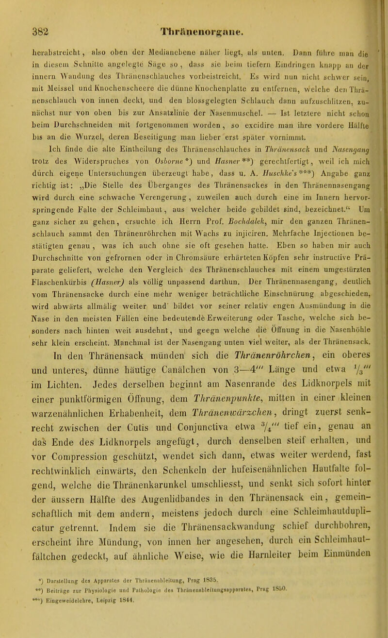 lierabstreicht, (ilso oben der Mediancbcno nälier liegt, als uiilcn. Dann führe man die in dicscin Scimitlc angelegte Siige so , dass sie beim tiefern Eindringen knapp an der Innern ^Yan(lllng des Tiiriinensclilauches vorbeislreichl. Es wird nun nicht scliwer sein mit flleissel und Knochenscheere die dünne Knoehcnplalte zu entfernen, welche den'i'hrii- nenschlauch von innen deckt, und den blossgelegten Schlauch dann aufzuschlitzen, zu- nächst nur von oben bis zur Ansatzlinie der Nasenmuschel. — Ist letztere nicht schon beim Durchschneiden mit fortgenommen worden, so excidire man ihre vordere Uälfie bis an die Wurzel, deren Beseitigung man lieber erst spiiler vornimmt. Ich finde die alte Einlheilung des Thränenschlauches in Tkränensack und Nasengang trotz des Widerspruches von Oshorne.^) und Hasner**) gerechtfertigt, weil ich mich dürch eigene Untersuchungen überzeugt habe, dass u. A. Huschke's*''*) Angabe ganz richtig ist: „Die Stelle des Überganges des Thränensackes in den Thränennasengang wird durch eine schwache Verengerung, zuweilen auch durch eine im Innern hervor- springende Falte der Schleimhaut, aus welcher beide gebildet sind, bezeichnet. Um ganz sicher zu gehen, ersuchte ich Herrn Prof. Bochdalek, mir den ganzen Thränen- schlauch sammt den Thränenröhrchen mit Wachs zu injiciren. Mehrfache Injectionen be- stätigten genau , was ich auch ohne sie oft gesehen hatte. Eben so haben mir auch Durchschnitte von gefrornen oder in Chromsäure erhärteten Köpfen sehr instructive Prä- parate geliefert, welche den Vergleich des Thränenschlauches mit einem umgestürzten Flaschenkürbis (Hasner) als völlig unpassend darthun. Der Thränennasengang, deutlich vom Thränensacke durch eine mehr weniger beträchtliche Einschnürung abgeschieden, wird abwärts allmälig weiter und' bildet vor seiner relativ engen Ausmündung in die Nase in den meisten Fällen eine bedeutende Erweiterung oder Tasche, welche sich be- sonders nach hinten weit ausdehnt, und geegn welche die Öffnung in die Nasenhöhle sehr klein erscheint. Manchmal ist der Nasengang unten viel weiter, als der Thränensack. In den Thränensack münden sich die Thränenröhrchen^ ein oberes und unteres, dünne häutige Canälchen von 3—4' Länge und etwa V3' im Lichten. Jedes derselben beginnt am Nasenrande des Lidknorpels mit einer punktförmigen Öll'nung, dem Thränenpunkie, mitten in einer kleinen warzenälinlichen Erhabenheit, dem Thrätienwärzchen, dringt zuerst senk- recht zwischen der Cutis und Conjunctiva etwa ^4' tief ein, genau an das Ende des Lidknorpels angefügt, durch denselben steif erhalten, und vor Compression geschützt, wendet sich dann, etwas weiter w^erdend, fast rechtwinklich einwärts, den Schenkeln der hufeisenähnlichen Haulfalte fol- gend, welche die Thränenkarunkel umschliesst, und senkt sich sofort hinter der äussern Hälfte des Augenlidbandes in den Thränensack ein, gemein- schaftlich mit dem andern, meistens jedoch durcli eine Schleimhauldupli- catur getrennt. Indem sie die Thränensackwandung schief durchbohren, erscheint ihre Mündung, von innen her angesehen, durch ein Schleimhaul- fältchen gedeckt, auf ähnliche Weise, wie die Harnleiter beim Einmünden •) Darstellung des Appnrnles der Tlirüiienalilcilung, Prag 1835. ••) Beitrüge lur Pliysiologie und Pnlhulogic de» Tlirönciiobleilungsappnrales, Prag ISbO. **) Eingcwcidclvlire, Leipiig 1844.