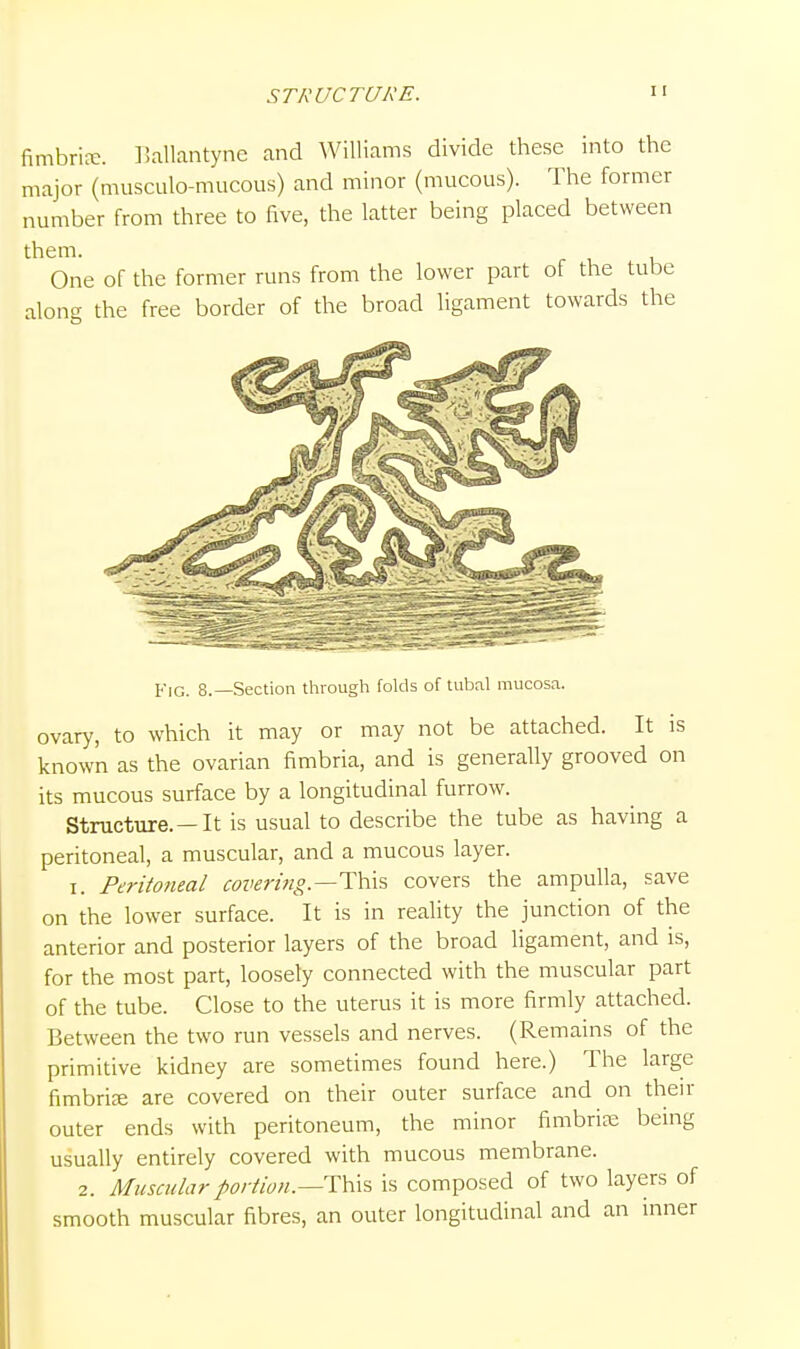 STRUCTURE. fimbrire. IJallantyne and Williams divide these into the major (musculo-mucous) and minor (mucous). The former number from three to five, the latter being placed between them. One of the former runs from the lower part of the tube along the free border of the broad ligament towards the Fig. 8.—Section through folds of tubal mucosa. ovary, to which it may or may not be attached. It is knowk as the ovarian fimbria, and is generally grooved on its mucous surface by a longitudinal furrow. Structure.—It is usual to describe the tube as having a peritoneal, a muscular, and a mucous layer. I. Perito7ieal coverhig.—T\ivi covers the ampulla, save on the lower surface. It is in reality the junction of the anterior and posterior layers of the broad ligament, and is, for the most part, loosely connected with the muscular part of the tube. Close to the uterus it is more firmly attached. Between the two run vessels and nerves. (Remains of the primitive kidney are sometimes found here.) The large fimbrife are covered on their outer surface and on their outer ends with peritoneum, the minor fimbria; being usually entirely covered with mucous membrane. 2. Muscular portion.—T'^^x'i is composed of two layers of smooth muscular fibres, an outer longitudinal and an mner