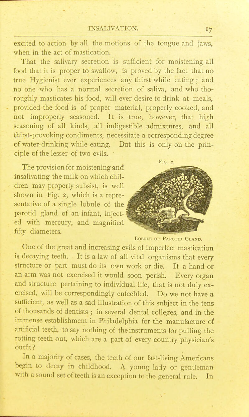 ^7 excited to action by all the motions of the tongue and jaws, when in the act of mastication. That the salivary secretion is sufficient for moistening all food that it is proper to swallow, is proved by the fact that no true Hygienist ever experiences any thirst while eating; and no one who has a normal secretion of saliva, and who tho- roughly masticates his food, will ever desire to drink at meals, provided the food is of proper material, properly cooked, and not improperly seasoned. It is true, however, that high seasoning of all kinds, all indigestible admixtures, and all thirst-provoking condiments, necessitate a corresponding degree of water-drinking while eating. But this is only on the prin- ciple of the lesser of two evils. ' Fig. 2. The provision for moistening and insalivating the milk on which chil- dren may properly subsist, is well shown in Fig. which is a repre- sentative of a single lobule of the parotid gland of an infant, inject- ed with mercury, and magnified fifty diameters. Lobule of Parotid Gland. One of the great and increasing evils of imperfect mastication is decaying teeth. It is a law of all vital organisms that every structure or part must do its own work or die. If a hand or an arm was not exercised it would soon perish. Every organ and structure pertaining to individual life, that is not duly ex- ercised, will be correspondingly enfeebled. Do we not have a sufficient, as well as a sad illustration of this subject in the tens of thousands of dentists ; in several dental colleges, and in the immense establishment in Philadelphia for the manufacture of artificial teeth, to say nothing of the instruments for pulling the rotting teeth out, which are a part of every countiy physician's outfit ? In a majority of cases, the teeth of our fast-living Americans begin to decay in childhood. A young lady or gentleman with a sound set of teeth is an exception to the general rule. In