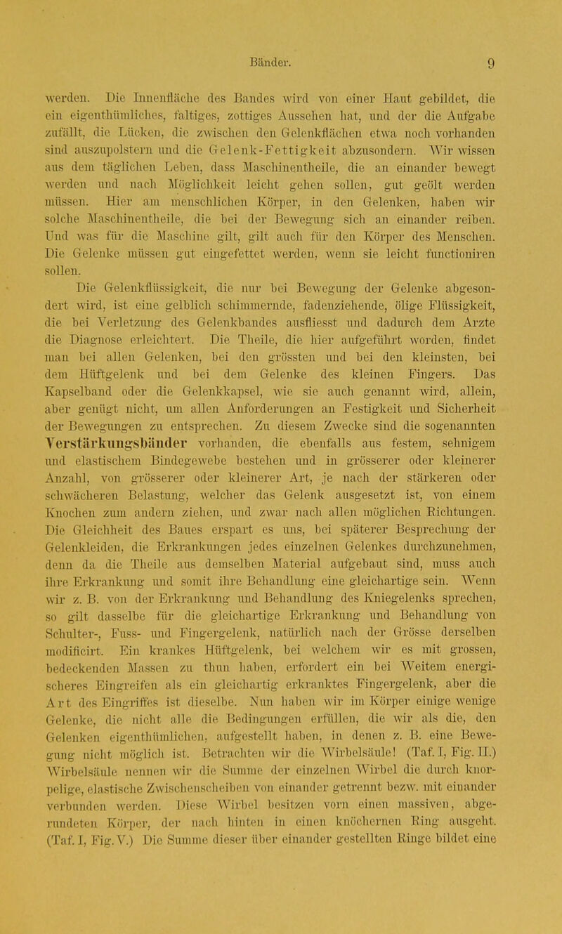 werden. Die Innenlliiclie des Bandes wird von einer Haut gebildet, die ein eigentliihnliclies, faltiges, zottiges Aussehen hat, und der die Aufgabe zufällt, die Lücken, die zmschen den Gelenkfläehen etwa noch vorhanden sind auszupolstern und die Gelenk-Fettigkeit abzusondern. Wir wissen aus dem täglichen Leben, dass Mascliinentheile, die an einander bewegt werden und nach Möglichkeit leicht gehen sollen, gut geölt werden müssen. Hier am menschlichen Körper, in den Gelenken, haben wir solche Mascliinentheile, die bei der Bewegung sich an einander reiben. Und was für die Maschine gilt, gilt auch für den Körper des Menschen. Die Gelenke müssen gut eingefettet werden, wenn sie leicht functioniren sollen. Die Gelenkflüssigkcit, die nur bei Bewegung der Gelenke abgeson- dert wird, ist eine gelblich schimmernde, fadenziehende, ölige Flüssigkeit, die bei Verletzung des Gelenkbandes ausfliesst und dadurch dem Arzte die Diagnose erleichtert. Die Theile, die liier aufgeführt worden, findet man bei allen Gelenken, bei den grössten und bei den kleinsten, bei dem Hüftgelenk und bei dem Gelenke des kleinen Fingers. Das Kapselband oder die Gelenkkapsel, wie sie auch genannt wird, allein, aber genügt nicht, um allen Anforderungen au Festigkeit und Sicherheit der Bewegungen zu entsprechen. Zu diesem Zwecke sind die sogenannten Yerstärkiiiig:sl)ändei vorhanden, die ebenfalls aus festem, sehnigem und elastischem Bindegewebe bestehen und in grösserer oder kleinerer Anzahl, von grösserer oder kleinerer Art, je nach der stärkeren oder schwächeren Belastung, welcher das Gelenk ausgesetzt ist, von einem Knochen zum andern ziehen, und zwai' nach allen möglichen Eichtungen. Die Gleichheit des Baues erspart es uns, bei späterer Besprechung der Gelenkleiden, die Erkrankungen jedes einzelnen Gelenkes durchzunehmen, denn da die Theile aus demselben Material aufgebaut sind, muss auch ihre Erkrankung und somit ihre Behandlung eine gleichartige sein. Wenn wir z. B. von der Erkrankung und Behandlung des Kniegelenks sprechen, so gilt dasselbe für die gleichartige Erkrankung und Behandlung von Schulter-, Fuss- und Fingergelenk, natürlich nacli der Grösse derselben modiücirt. Ein krankes Hüftgelenk, bei welchem wir es mit grossen, bedeckenden Massen zu thuu haben, erfordert ein bei Weitem energi- scheres Eingreifen als ein gleichartig erkranktes Fingergelenk, aber die Art des Eingriffes ist dieselbe. Nun liaben wir im Körper einige wenige Gelenke, die nicht alle die Bedingungen erfüllen, die wir als die, den Gelenken eigenthümliclien, aufgestellt haben, in denen z. B. eine Bewe- gung nicht möglich ist. Betrachten wir die Wirbelsäule! (Taf. I, Fig. II.) Wirbelsäule nenufm wir die Summe der einzelnen Wirbel die durch kiuu'- pelige, elastische Zwischenscheibeu von einander getrennt bezw. mit einander verbunden werden. Diese Wirbel besitzen vorn einen massiven, abge- rundeten Körper, der nach hinten in einiMi knöchernen Ring ausgeht. (Taf. I, Fig. V.) Die Summe dieser über einander gestellten Ringe bildet eine