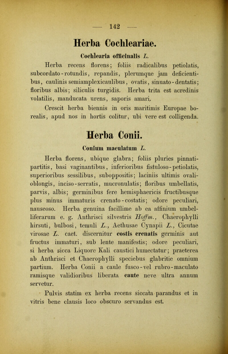 Herba Cochleariae. Cochlearia officinalis L. Herba recens florens; foliis radicalibiis petiolatis, subcordato - rotundis, repandis, plerumque jam deficienti- bus, caulinis semiamplexicaulibus, ovatis, sinuato - dentatis; floribus albis; siliculis turgidis. Herba trita est acredinis volatilis, manducata urens, saporis amari,. Crescit lierba biennis in oris maritimis Europae bo- realis, apud nos in liortis colitur, ubi vere est colligenda. Herba Conii. Conium maculatum L. Herba florens, ubique glabra; foliis pluries pinnati- partitis, basi vaginantibus, inferioribus fistuloso-petiolatis, superioribus sessilibus, suboppositis; laciniis ultimis ovali- oblongis, inciso - serratis, mucronulatis; floribus umbellatis, parvis, albis; germinibus fere liemispliaericis fructibusque plus minus immaturis crenato - costatis; odore peculiari, nauseoso. Herba genuina facillime ab ea affinium umbel- liferarum e. g. Antbrisci silvestris Hoffm., Ohaeropliylli birsuti, bulbosi, temuli L., Aethusae Cynapii L., Cicutae virosae L. caet. discernitur costis crenatis germinis aut fructus immaturi, sub lente manifestis; odore peculiari, si herba sicca Liquore Kali caustici liumectatur; praeterea ab Anthrisci et Cliaeropliylli speciebus glabritie omnium partium. Herba Conii a caule fusco-vel rubro - maculato ramisque validioribus liberata caute neve ultra annum servetur. Pulvis statim ex lierba recens siccata parandus et in vitris bene clausis loco obscuro servandus est.