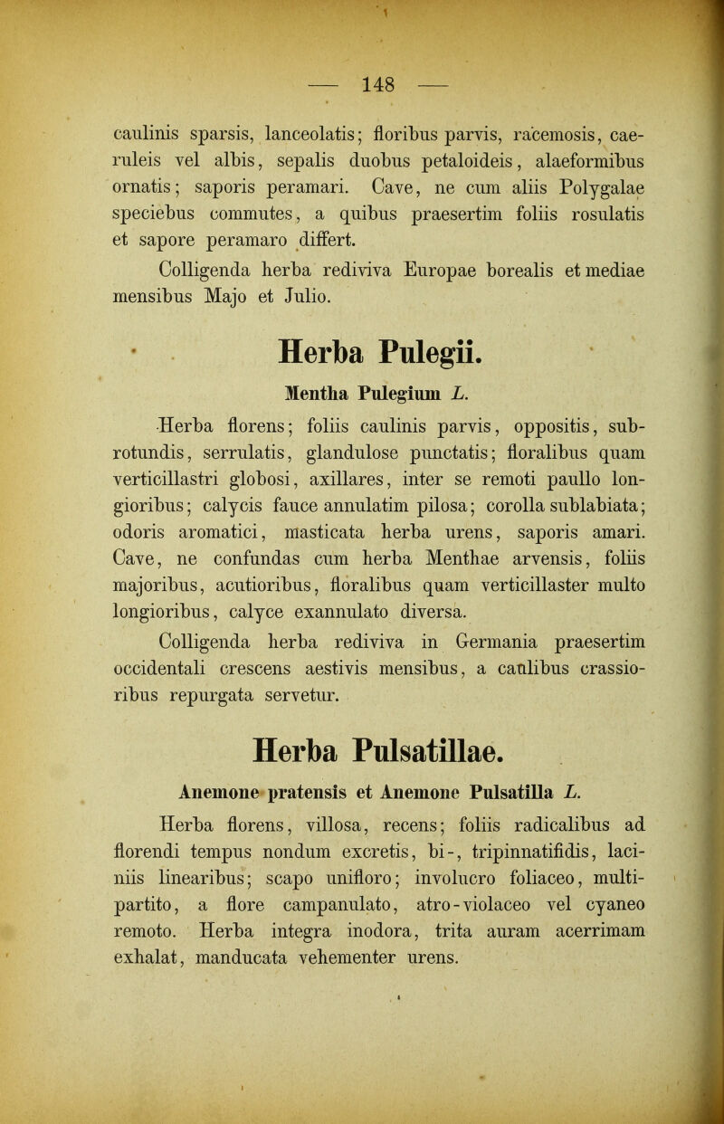 caulinis sparsis, lanceolatis; floribus parvis, rabemosis, cae- ruleis vel albis, sepalis duoLus petaloideis, alaeformibus ornatis; saporis peramari. Cave, ne cum aliis Polygalae speciebus commutes, a quibus praesertim foliis rosulatis et sapore peramaro differt. OoUigenda berba rediviva Europae borealis et mediae mensibus Majo et Julio. Herba Pulegii. Mentha Pulegium L. •Herba tlorens; foliis caulinis parvis, oppositis, sub- rotundis, serrulatis, glandulose punctatis; floralibus quam verticillastri globosi, axillares, inter se remoti paullo lon- gioribus; calycis fauce annulatim pilosa; corolla sublabiata; odoris aromatici, masticata berba urens, saporis amari. Gave, ne confundas cum berba Menthae arvensis, foliis majoribus, acutioribus, floralibus quam verticillaster multo longioribus, calyce exannulato diversa. CoUigenda berba rediviva in Germania praesertim occidentali crescens aestivis mensibus, a caulibus crassio- ribus repurgata servetur. Herba Pulsatillae. Anemone pratensis et Anemone Pulsatilla L. Herba florens, villosa, recens; foliis radicalibus ad florendi tempus nondum excretis, bi-, tripinnatifidis, laci- niis linearibus; scapo unifloro; involucro foliaceo, multi- partito, a flore campanulato, atro - violaceo vel cyaneo remoto. Herba integra inodora, trita auram acerrimam exbalat, manducata vebementer urens.