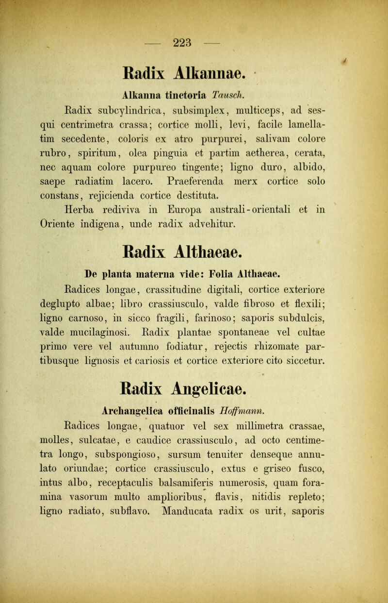 Radix Alkannae. Alkanna tinctoria Tausch. Eadix subcylindrica, subsimplex, multiceps, ad ses- qui centrimetra crassa; cortice molli, levi, facile lamella- tim secedente, coloris ex atro purpurei, salivam colore rubro, spiritum, olea pinguia et partim aetherea, cerata, nec aquam colore purpureo tingente; ligno duro, albido, saepe radiatim lacero. Praeferenda merx cortice solo constans, rejicienda cortice destituta. Herba rediviva in Europa australi - orientali et in Oriente indigena, unde radix advehitur. Radix Althaeae. De planta materna yide: Folia Altliaeae. Eadices longae, crassitudine digitali, cortice exteriore deglupto albae; libro crassiusculo, valde fibroso et flexili; ligno carnoso, in sicco fragili, farinoso; saporis subdulcis, valde mucilaginosi. Eadix plantae spontaneae vel cultae primo vere vel autumno fodiatur, rejectis rliizomate par- tibusque lignosis et cariosis et cortice exteriore cito siccetur. Radix Angelicae. Areliangelica officinalis Hoffmann. Eadices longae, quatuor vel sex millimetra crassae, molles, sulcatae, e caudice crassiusculo, ad octo centime- tra longo, subspongioso, sursum tenuiter denseque annu- lato oriundae; cortice crassiusculo, extus e griseo fusco, intus albo, receptaculis balsamiferis numerosis, quam fora- mina vasorum multo amplioribus, flavis, nitidis repleto; ligno radi^ito, subflavo. Manducata radix os urit, saporis