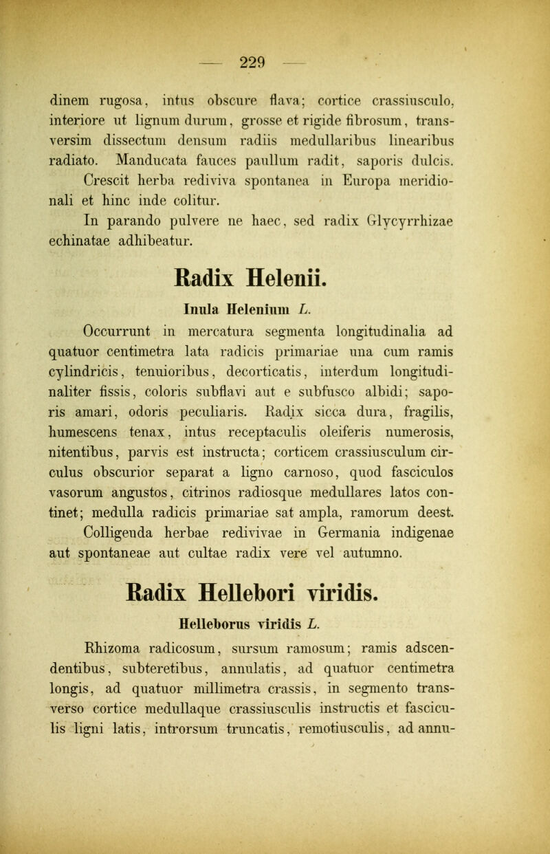 dinem rugosa, intus obscure flava; cortice crassiusculo. interiore ut lignum durum, grosse et rigide fibrosum, trans- versim dissectum densum radiis medullaribus linearibus radiato. Manducata fauces pauUum radit, saporis dulcis. Crescit herba rediviva spontanea in Europa meridio- nali et hinc inde colitur. In parando pulvere ne haec, sed radix Glycyrrhizae echinatae adhibeatur. Radix Helenii. Iniila Helenium L. Occurrunt in mercatura segmenta longitudinalia ad quatuor centimetra lata radicis primariae una cum ramis cylindricis, tenuioribus, decorticatis, interdum longitudi- naliter fissis, coloris subflavi aut e subfusco albidi; sapo- ris amari, odoris peculiaris. Radix sicca dura, fragilis, humescens tenax, intus receptaculis oleiferis numerosis, nitentibus, parvis est instructa; corticem crassiusculum cir- culus obscurior separat a ligno carnoso, quod fasciculos vasorum angustos, citrinos radiosque medullares latos con- tinet; meduUa radicis primariae sat ampla, ramorum deest. Colligenda herbae redivivae in Germania indigenae aut spontaneae aut cultae radix vere vel autumno. Radix Hellebori viridis. Helleborus Tiridis L. Rhizoma radicosum, sursum ramosum; ramis adscen- dentibus , subteretibus, annulatis, ad quatuor centimetra longis, ad quatuor millimetra crassis, in segmento trans- verso cortice medullaque crassiusculis instructis et fascicu- lis ligni latis, introrsum truncatis, remotiusculis, ad annu-