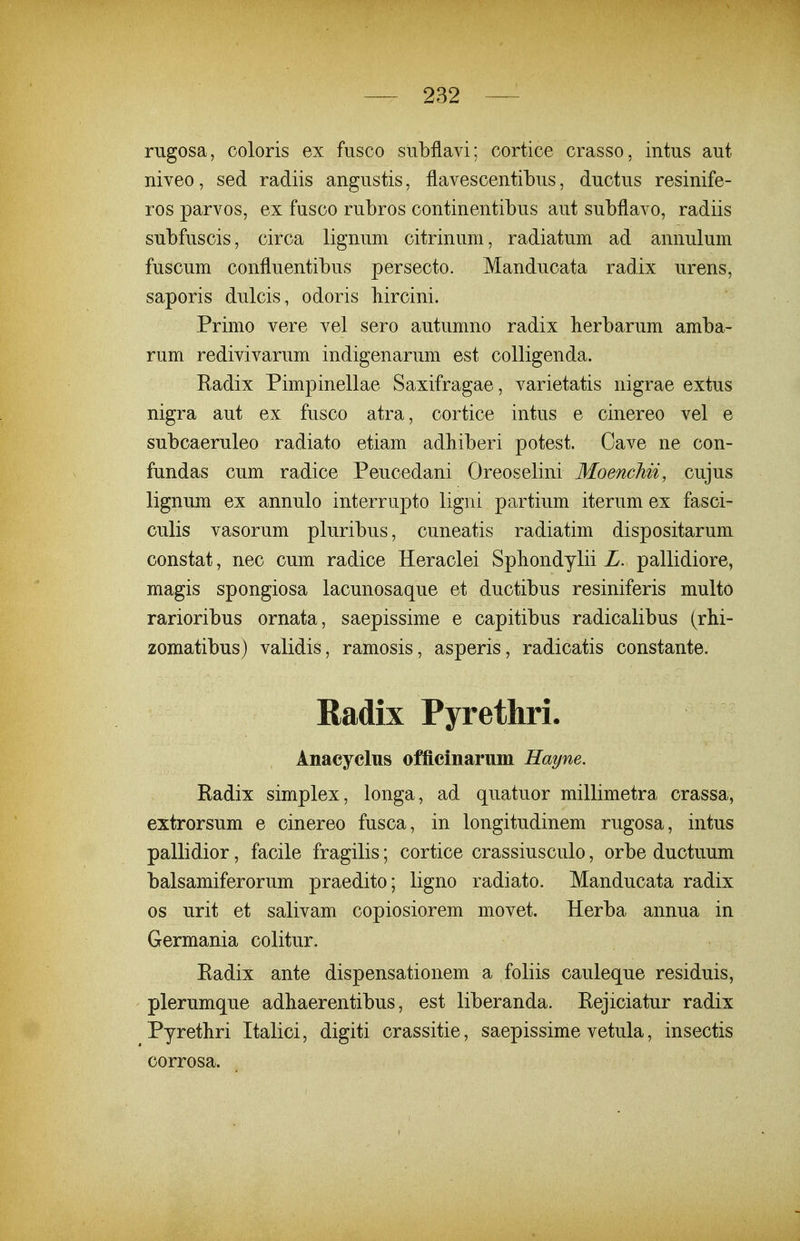 riigosa, coloris ex fiisco stibflavi: cortice crasso, intus aut niveo, sed radiis angustis, flavescentibus, ductus resinife- ros parvos, ex fusco rubros continentibus aut subflavo, radiis subfuscis, circa lignum citrinum, radiatum ad annulum fuscum confluentibus persecto. Manducata radix urens, saporis dulcis, odoris bircini. Primo vere vel sero autumno radix berbarum amba- rum redivivarum indigenarum est coUigenda. Radix Pimpinellae Saxifragae, varietatis nigrae extus nigra aut ex fusco atra, cortice intus e cinereo vel e subcaeruleo radiato etiam adhiberi potest. Cave ne con- fundas cum radice Peucedani Oreoselini MoencMi, cujus lignum ex annulo interrupto ligni partium iterum ex fasci- culis vasorum pluribus, cuneatis radiatim dispositarum constat, nec cum radice Heraclei Spbondylii Z. pallidiore, magis spongiosa lacunosaque et ductibus resiniferis multo rarioribus ornata, saepissime e capitibus radicalibus (rhi- zomatibus) validis, ramosis, asperis, radicatis constante. Radix Pyrethri. Anacyclus officinarum Hayne. Radix simplex, longa, ad quatuor millimetra crassa, extrorsum e cinereo fusca, in longitudinem rugosa, intus pallidior, facile fragilis; cortice crassiusculo, orbe ductuum balsamiferorum praedito; ligno radiato. Manducata radix os urit et salivam copiosiorem movet. Herba annua in Germania colitur. Radix ante dispensationem a foliis cauleque residuis, plerumque adhaerentibus, est liberanda. Rejiciatur radix Pyrethri Italici, digiti crassitie, saepissime vetula, insectis corrosa.