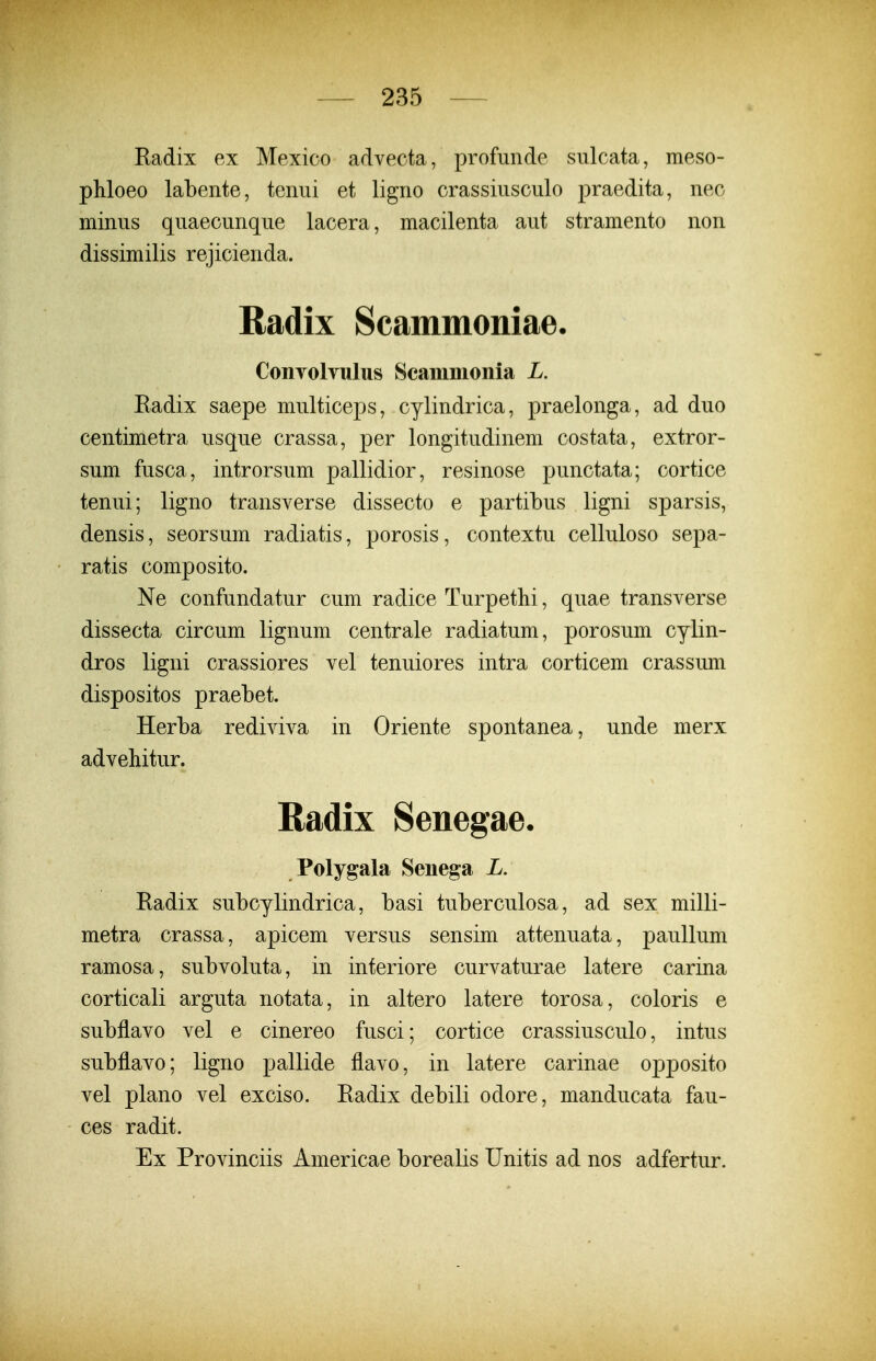 Radix ex Mexico advecta, profunde sulcata, meso- phloeo labente, teniii et ligno crassiusciilo praedita, nec minus quaecunque lacera, macilenta aut stramento non dissimilis rejicienda. Radix Scammoniae. ConTolTulus Scainnionia L. Eadix saepe multiceps, cylindrica, praelonga, ad duo centimetra usque crassa, per longitudinem costata, extror- sum fusca, introrsum pallidior, resinose punctata; cortice tenui; ligno transverse dissecto e partibus ligni sparsis, densis, seorsum radiatis, porosis, contextu celluloso sepa- ratis composito. Ne confundatur cum radice Turpethi, quae transverse dissecta circum lignum centrale radiatum, porosum cylin- dros ligni crassiores vel tenuiores intra corticem crassum dispositos praebet. Herba rediviva in Oriente spontanea, unde merx advehitur. Radix Senegae. Polygala Senega L. Radix subcylindrica, basi tuberculosa, ad sex milli- metra crassa, apicem versus sensim attenuata, paullum ramosa, subvoluta, in interiore curvaturae latere carina corticali arguta notata, in altero latere torosa, coloris e subflavo vel e cinereo fusci; cortice crassiusculo, intus subflavo; ligno pallide flavo, in latere carinae opposito vel plano vel exciso. Radix debili odore, manducata fau- ces radit. Ex Provinciis Americae borealis Unitis ad nos adfertur.