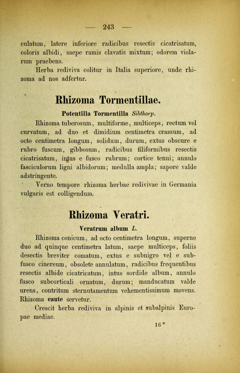 ciilatum, latere iiiferiore radicibus resectis cicatrisatum, coloris albidi, saepe ramis clavatis mixtum; odorem viola- rum praebens. Herba rediviva colitur in Italia superiore, unde rlii- zoma ad nos adfertur. Rhizoma Tormentillae. Potentilla Tormeiitilla SiUhorp. Eliizoma tuberosum, multiforme, multiceps, rectum vel curvatum, ad duo et dimidium centimetra crassum, ad octo centimetra longum, solidum, durum, extus obscure e rubro fuscum, gibbosum, radicibus filiformibus resectis cicatrisatum, in^us e fusco rubrum; cortice tenui; annulo fasciculorum ligni albidorum; meduUa ampla; sapore valde adstringente. Yerno tempore rliizoma lierbae redivivae in Germania vulgaris est colligendum. RMzoma Veratri. Veratruin album L. Rhizoma conicum, ad octo centimetra longum, superne duo ad quinque centimetra latum, saepe multiceps, foliis desectis breviter comatum, extus e subnigro vel e sub- fusco cinereum, obsolete annulatum, radicibus frequentibus resectis albide cicatricatum, intus sordide album, annulo fusco subcorticali ornatum, durum; manducatum valde urens, contritum sternutamentum veliementissimum movens. Eliizoma caute servetur. Crescit berba rediviva in alpinis et subalpinis Euro- pae mediae. 16*