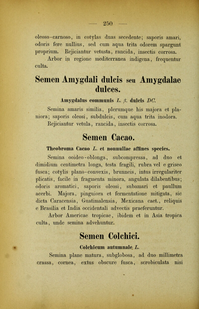 oleoso-carnoso, in cotylas duas secedente; saporis amari, odoris fere nuUiiis, sed cum aqua trita odorem spargunt proprium. Eejiciantur vetusta, rancida, insectis corrosa. Arbor in regione mediterranea indigena, frequentur culta. Semen Amygdali dulcis seu Amygdalae dulces. Amygdalus communis L. (3. dulcis DC. Semina amaris similia, plerumque his majora et pla- niora; saporis oleosi, subdulcis, cum aqua trita inodora. Rejiciantur vetula, rancida, insectis corrosa. Semen Cacao. Theobroma Cacao L. et noniiuUae affines species. Semina ooideo - oblonga ^ subcompressa, ad duo et dimidium centimetra longa, testa fragili, rubra vel e griseo fusca; cotylis plano - convexis, brunneis, intus irregulariter plicatis, facile in fragmenta minora, angulata dilabentibus; odoris aromatici, saporis oleosi, subamari et pauUum acerbi. Majora, pinguiora et fermentatione mitigata, sic dicta Oaracensia, Guatimalensia, Mexicana caet., reliquis e Brasilia et India occidentali advectis praeferuntur. Arbor Americae tropicae, ibidem et in Asia tropica culta, unde semina advehuntur. Semen Colchici. Colchicum autumnale. L. Semina plane matura, subglobosa, ad duo millimetra orassa, cornea, extus obscure fusca, scrobiculata nisi