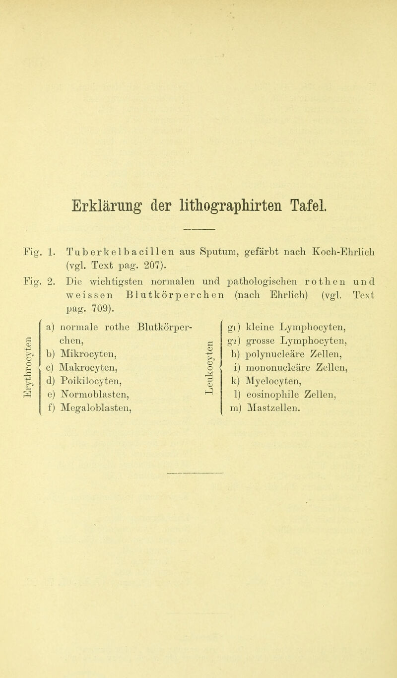 Erklärung der lithographirten Tafel. Fig. 1. Tuberkelbacillen aus Sputum, gefärbt nach Koch-Ehrlicli (vgl. Text pag. 207). Fig. 2. Die wiclitigsten normalen und loathologisclien rotlien und weissen Blutkörperchen (nach Ehrlich) (vgl. Text pag. 709). a) normale rothe Blutkörper- gl) kleine Lymphocyten, chen, ä g-i) grosse Lymphocyten, b) Mikrocyten, CD h) ]Dolynucleäre Zellen, p c) Makrocyten, ü i) mononucleäre Zellen d) Poikilocyten, <v k) Myelocyten, e) Normoblasten, 1) eosinophile Zellen, f) Megaloblasten, m) Mastzellen.