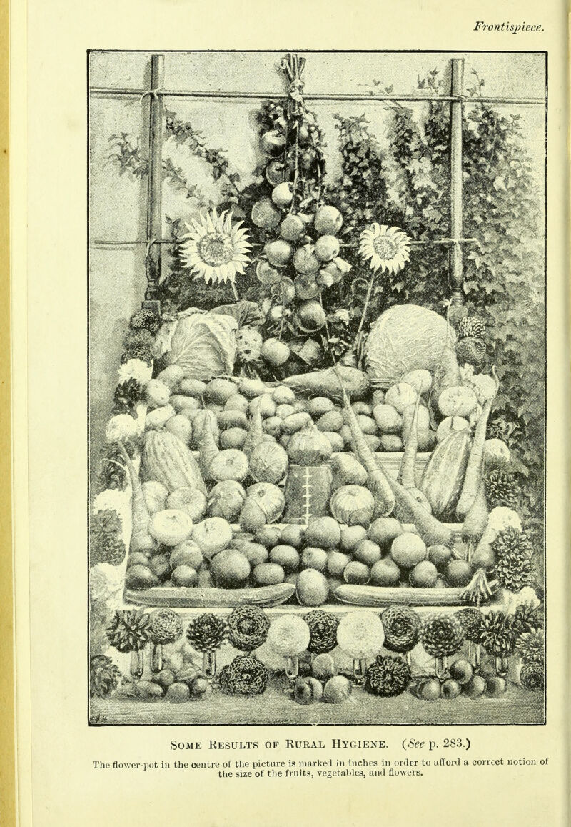 Frontisjriece. Some Results of Rueal Hygiene. {See p. 283.) The flower-pot in the centre of the picture is marked in inches in order to afford a correct notion of the size of tlie fruits, vegetables, and flowers.