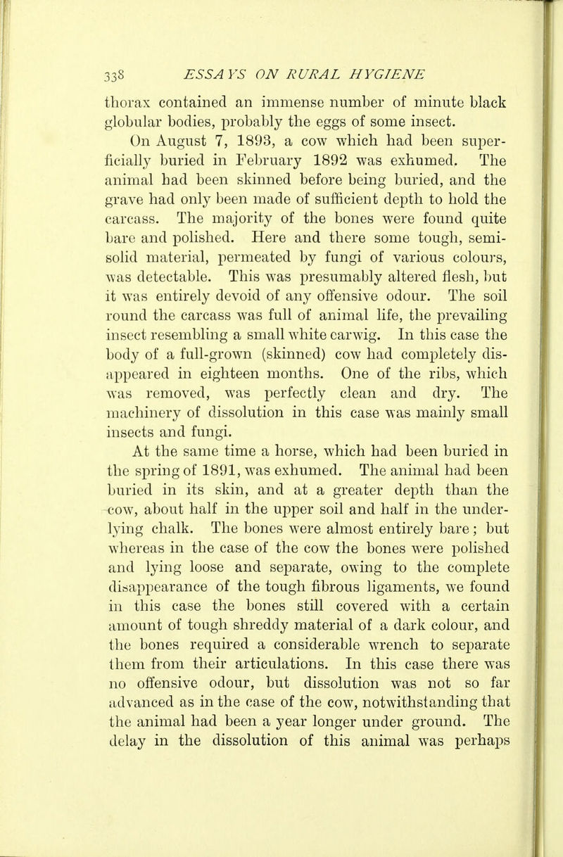 thorax contained an immense number of minute black globular bodies, probably the eggs of some insect. On August 7, 1893, a cow which had been super- ficially buried in February 1892 was exhumed. The animal had been skinned before being buried, and the grave had only been made of sufficient depth to hold the carcass. The majority of the bones were found quite bare and polished. Here and there some tough, semi- solid material, permeated by fungi of various colours, was detectable. This was presumably altered flesh, but it was entirely devoid of any offensive odour. The soil round the carcass was full of animal life, the prevailing insect resembling a small white earwig. In this case the body of a full-grown (skinned) cow had completely dis- appeared in eighteen months. One of the ribs, which was removed, was perfectly clean and dry. The machinery of dissolution in this case was mainly small insects and fungi. At the same time a horse, which had been buried in the spring of 1891, was exhumed. The animal had been buried in its skin, and at a greater depth than the cow, about half in the upper soil and half in the under- lying chalk. The bones were almost entirely bare; but whereas in the case of the cow the bones were polished and lying loose and separate, owing to the complete disappearance of the tough fibrous ligaments, we found in this case the bones still covered with a certain amount of tough shreddy material of a dark colour, and the bones required a considerable wrench to separate them from their articulations. In this case there was no offensive odour, but dissolution was not so far advanced as in the case of the cow, notwithstanding that the animal had been a year longer under ground. The delay in the dissolution of this animal was perhaps
