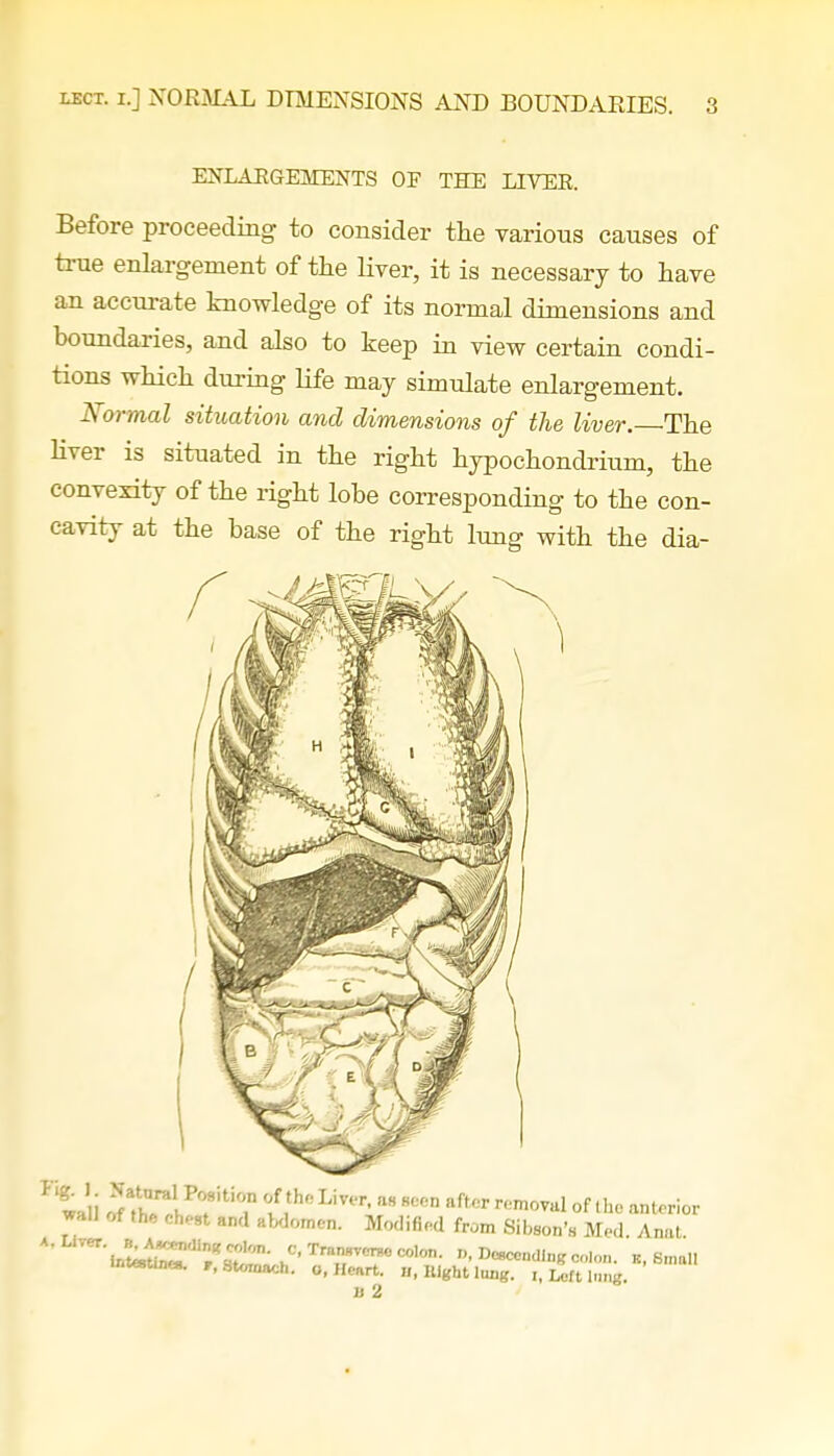 ENLARGEMENTS OF THE LIVER. Before proceeding to consider the various causes of true enlargement of the liver, it is necessary to have an accurate knowledge of its normal dimensions and boundaries, and also to keep in view certain condi- tions which during life may simulate enlargement. Normal situation and dimensions of the liver. The liver is situated in the right hypochondrium, the convexity of the right lobe corresponding to the con- cavity at the base of the right lung with the dia-