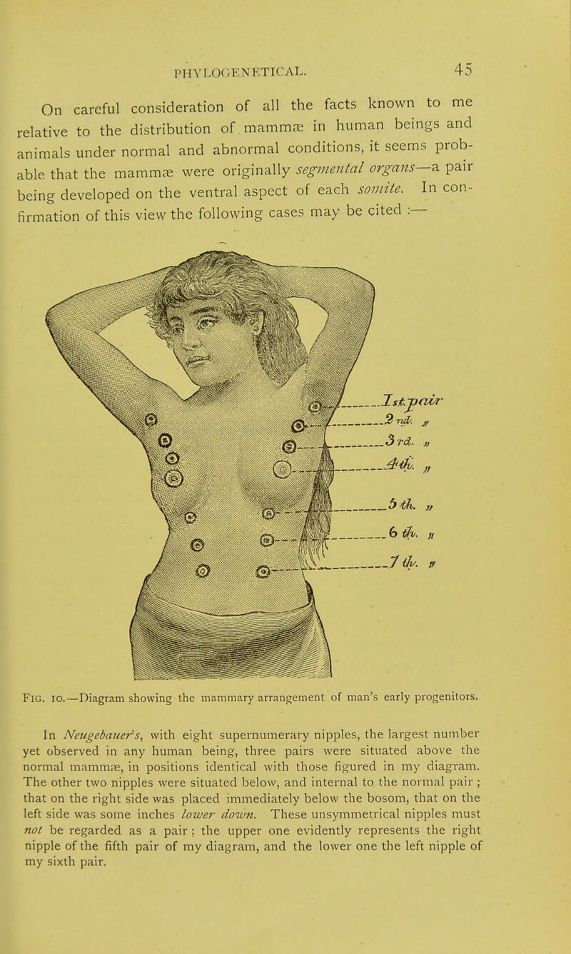 PHYLOGENETICAL. On careful consideration of all the facts known to me relative to the distribution of mammae in human beings and animals under normal and abnormal conditions, it seems prob- able that the mamma; were originally segmental organs—-a pair being developed on the ventral aspect of each somite. In con- firmation of this view the following cases may be cited :— iJ. Istrpabr J' Q L 3rd. „ ®--k---44-  <i & 'th. ]f vJSB 6& // iii^i * Fig. io.—Diagram showing the mammary arrangement of man's early progenitors. In Neugebanefs, with eight supernumerary nipples, the largest number yet observed in any human being, three pairs were situated above the normal mammas, in positions identical with those figured in my diagram. The other two nipples were situated below, and internal to the normal pair ; that on the right side was placed immediately below the bosom, that on the left side was some inches lower down. These unsymmemcal nipples must not be regarded as a pair ; the upper one evidently represents the right nipple of the fifth pair of my diagram, and the lower one the left nipple of my sixth pair.