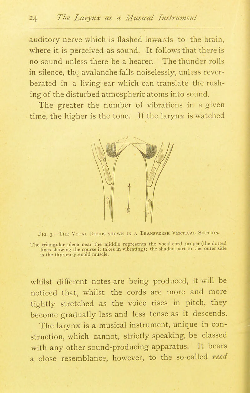 auditory nerve which is flashed inwards to the brain, where it is perceived as sound. It follows that there is no sound unless there be a hearer. The thunder rolls in silence, the avalanche falls noiselessly, unless rever- berated in a living ear which can translate the rush- ing of the disturbed atmospheric atoms into sound. The greater the number of vibrations in a given time, the higher is the tone. If the larynx is watched Fig. 3.—The Vocal Reeds shown in a Transverse Vertical Section. The triangular piece near the middle represents the vocal cord proper (the dotted lines showing the course it takes in vibrating); the shaded part to the outer side is the thyro-arytenoid muscle. whilst different notes are being produced, it will be noticed that, whilst the cords are more and more tightly stretched as the voice rises in pitch, they become gradually less and less tense as it descends. The larynx is a musical instrument, unique in con- struction, which cannot, strictly speaking, be classed with any other sound-producing apparatus. It bears a close resemblance, however, to the so called reed