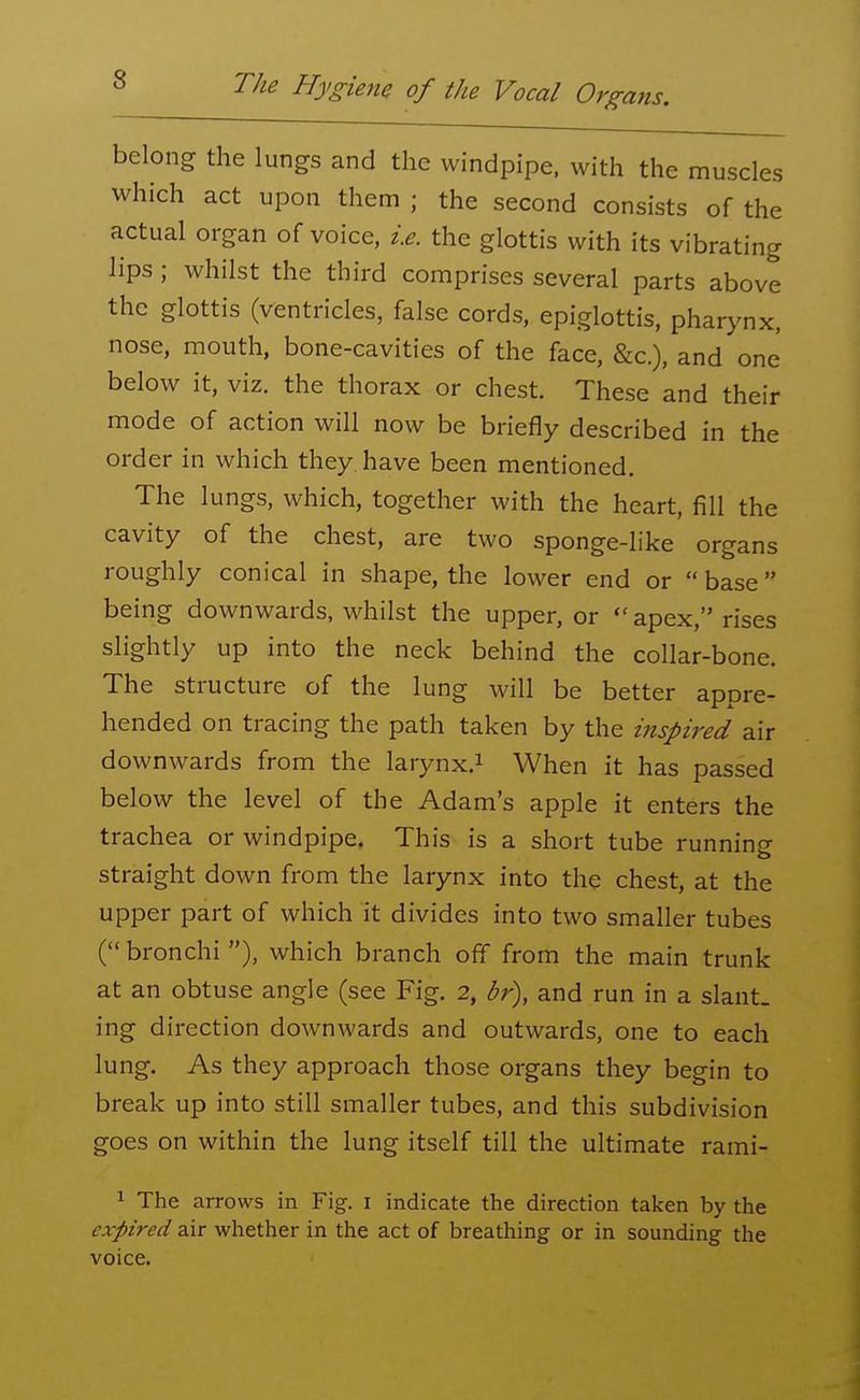 belong the lungs and the windpipe, with the muscles which act upon them ; the second consists of the actual organ of voice, i.e. the glottis with its vibrating lips; whilst the third comprises several parts above the glottis (ventricles, false cords, epiglottis, pharynx, nose, mouth, bone-cavities of the face, &c.), and one below it, viz. the thorax or chest. These and their mode of action will now be briefly described in the order in which they, have been mentioned. The lungs, which, together with the heart, fill the cavity of the chest, are two sponge-like organs roughly conical in shape, the lower end or base being downwards, whilst the upper, or apex, rises slightly up into the neck behind the collar-bone. The structure of the lung will be better appre- hended on tracing the path taken by the inspired air downwards from the larynx.^ When it has passed below the level of the Adam's apple it enters the trachea or windpipe. This is a short tube running straight down from the larynx into the chest, at the upper part of which it divides into two smaller tubes ( bronchi ), which branch off from the main trunk at an obtuse angle (see Fig. 2, br), and run in a slant- ing direction downwards and outwards, one to each lung. As they approach those organs they begin to break up into still smaller tubes, and this subdivision goes on within the lung itself till the ultimate rami- 1 The arrows in Fig. i indicate the direction taken by the expired air whether in the act of breathing or in sounding the voice.